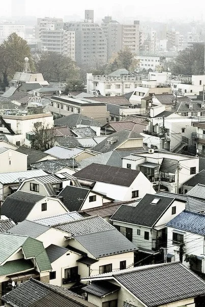 Cityscape with densely packed residential houses with gray and dark roofs, and taller apartment buildings in the background on a foggy day.