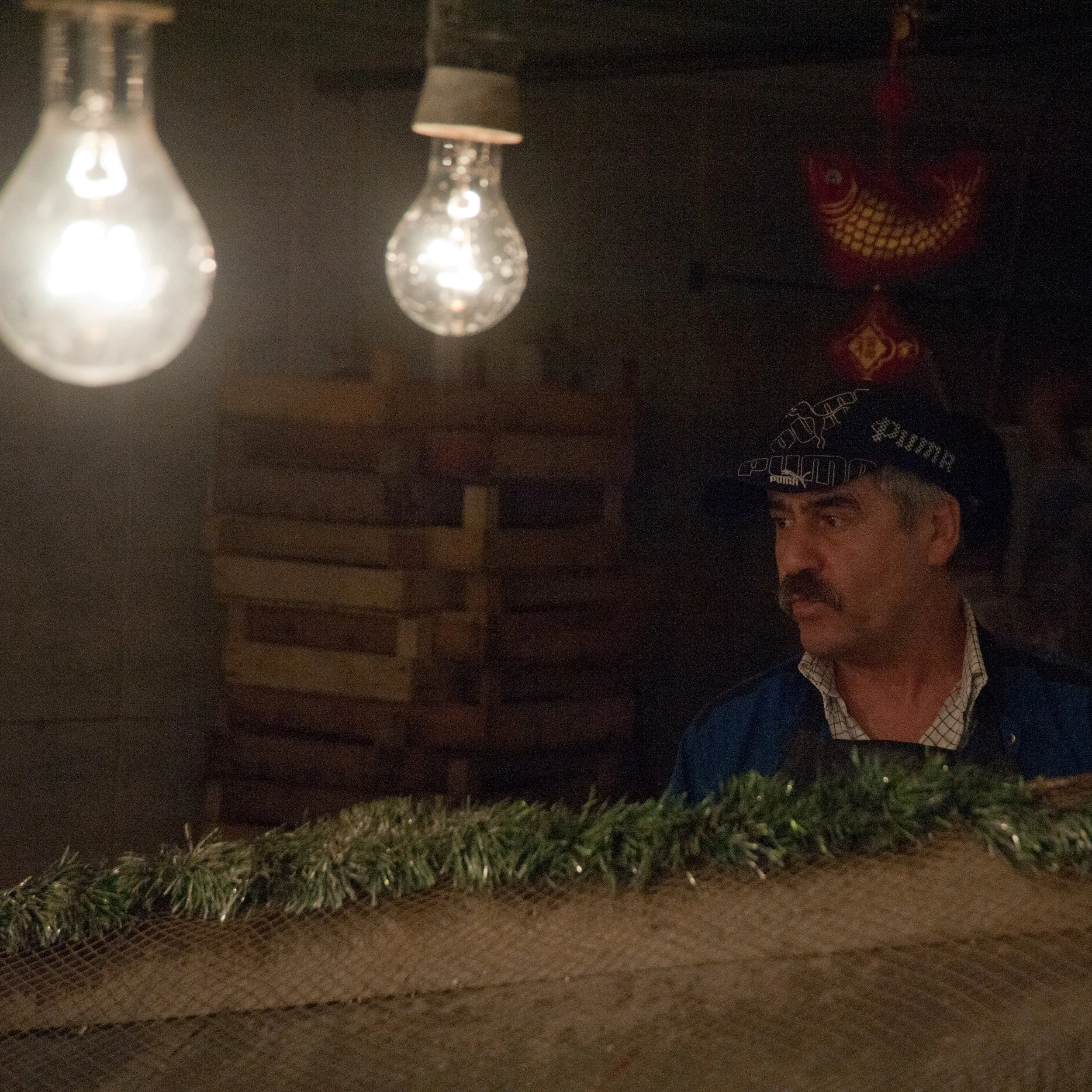 A man with a mustache wearing a black Puma beanie and blue jacket is standing indoors near a display with greenery. There are two lit light bulbs hanging from the ceiling and a decorative red and gold fish ornament in the background.
