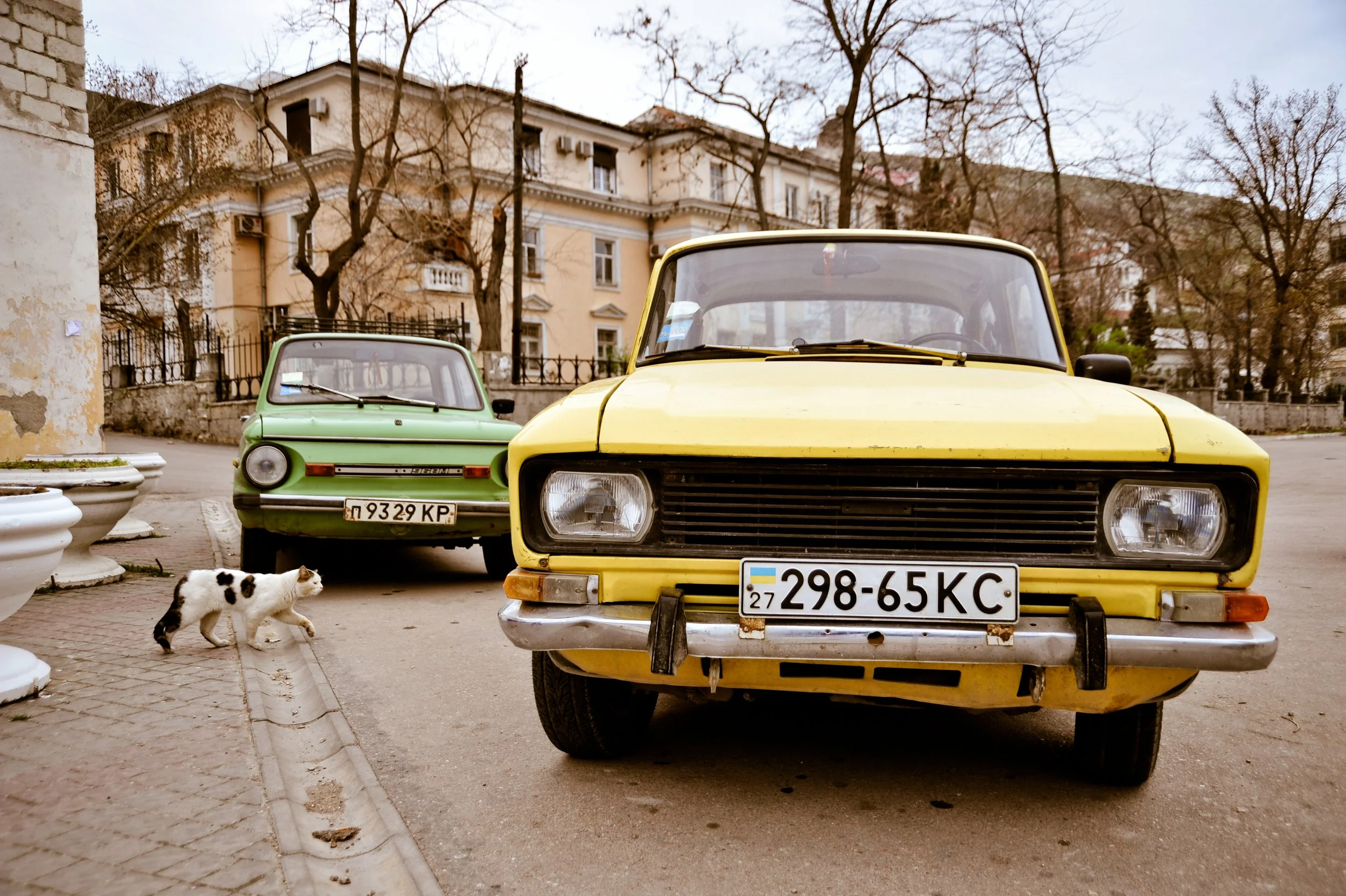 Two old cars, a yellow one in the foreground and a green one behind, parked on a street with leafless trees and buildings in the background. A black and white cat is walking on the sidewalk near the yellow car.