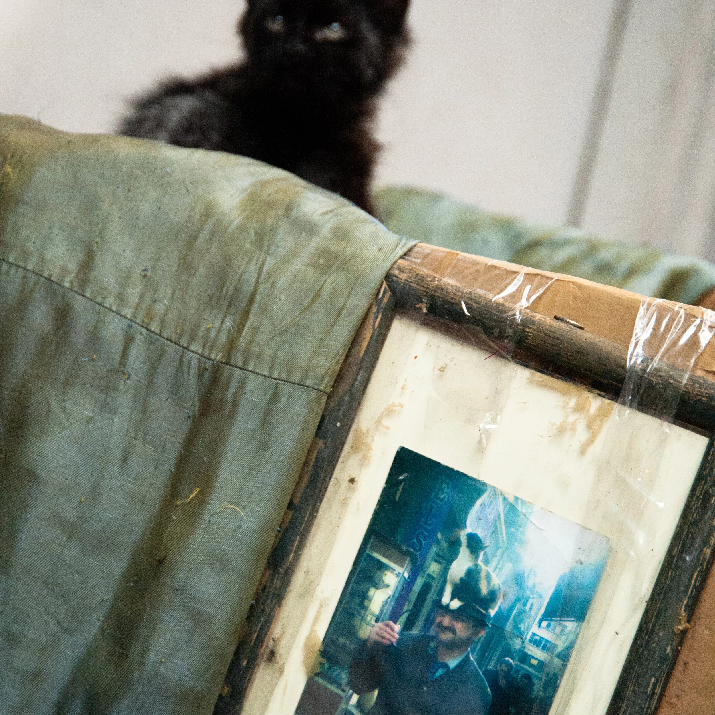 A black cat sitting on a piece of green fabric with a picture frame showing a person wearing a hat reflected in it.