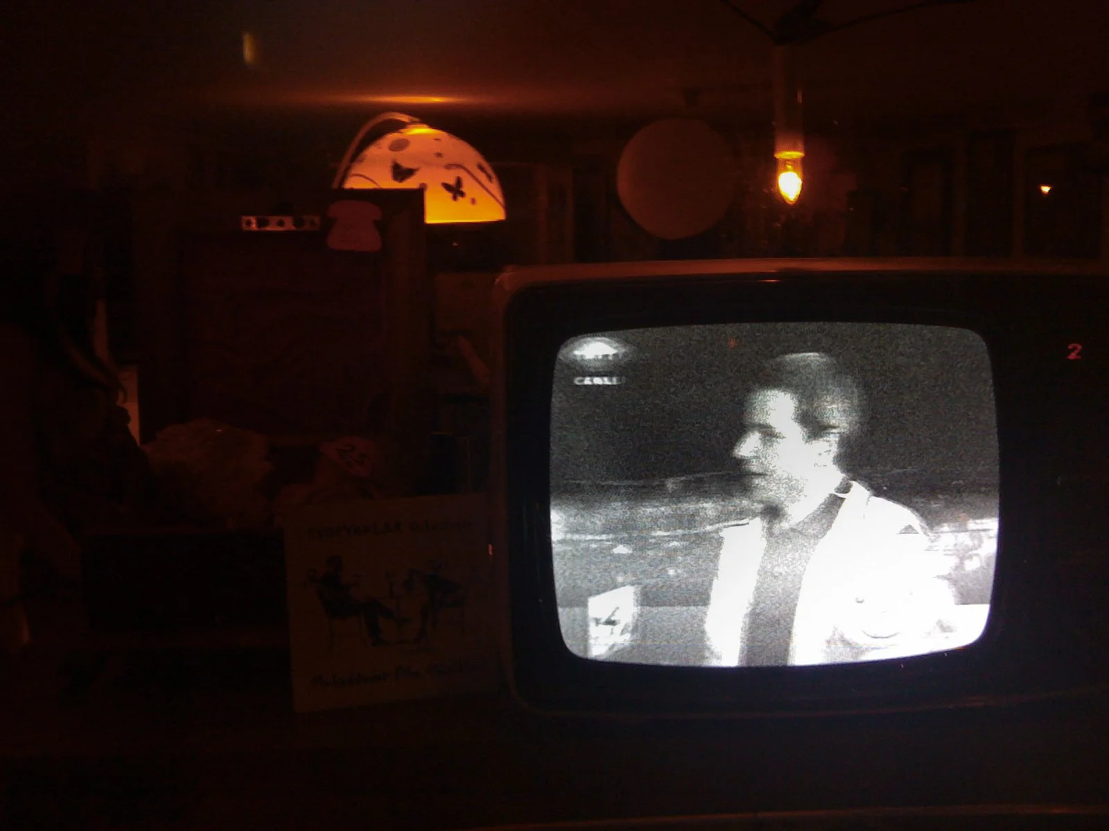 A black-and-white television displaying a woman with short hair, wearing glasses and a light jacket, in a dark room with dim lighting and hanging light fixtures.