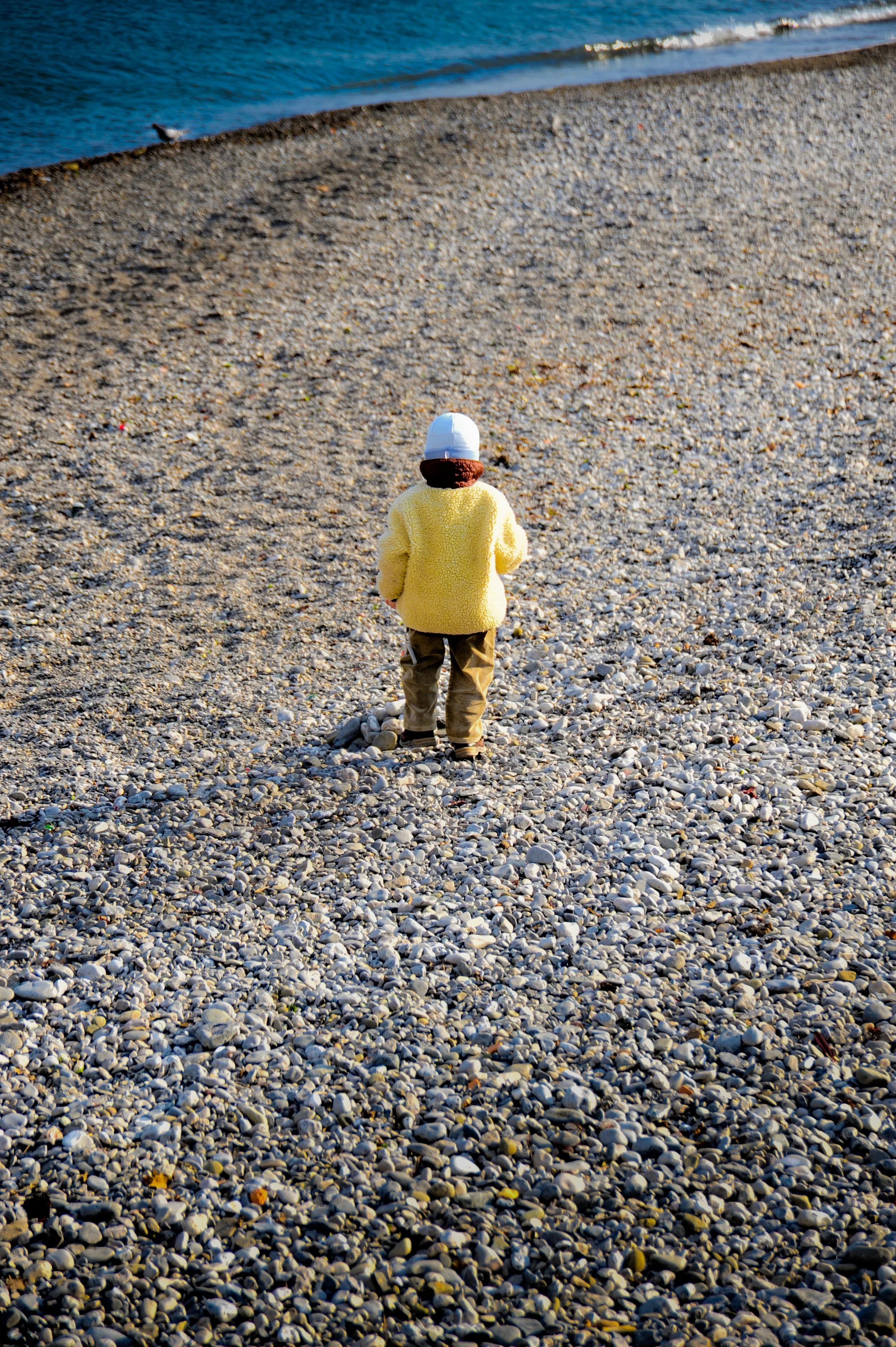 A child wearing a yellow sweater, beige pants, a white hat, and a brown scarf walking on a pebble beach near the water.