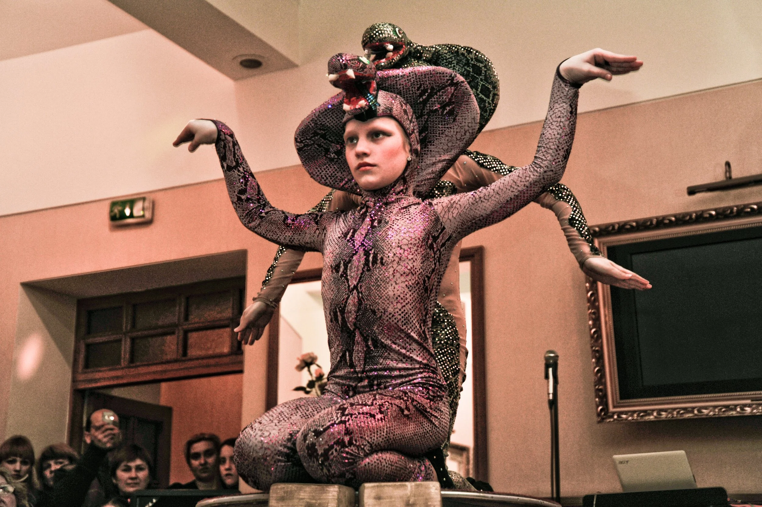 Performer in a snake costume on stage with an audience in front, wearing a shiny, scaled outfit and headpiece resembling snakes with open mouths.