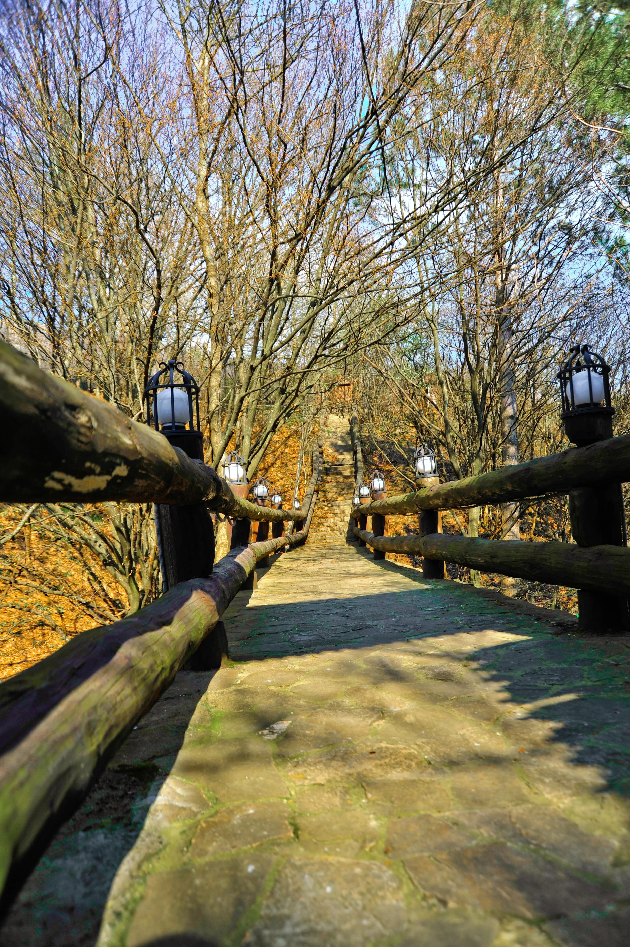A stone pathway with wooden railings lined with lanterns, leading up a hill through trees with bare branches.