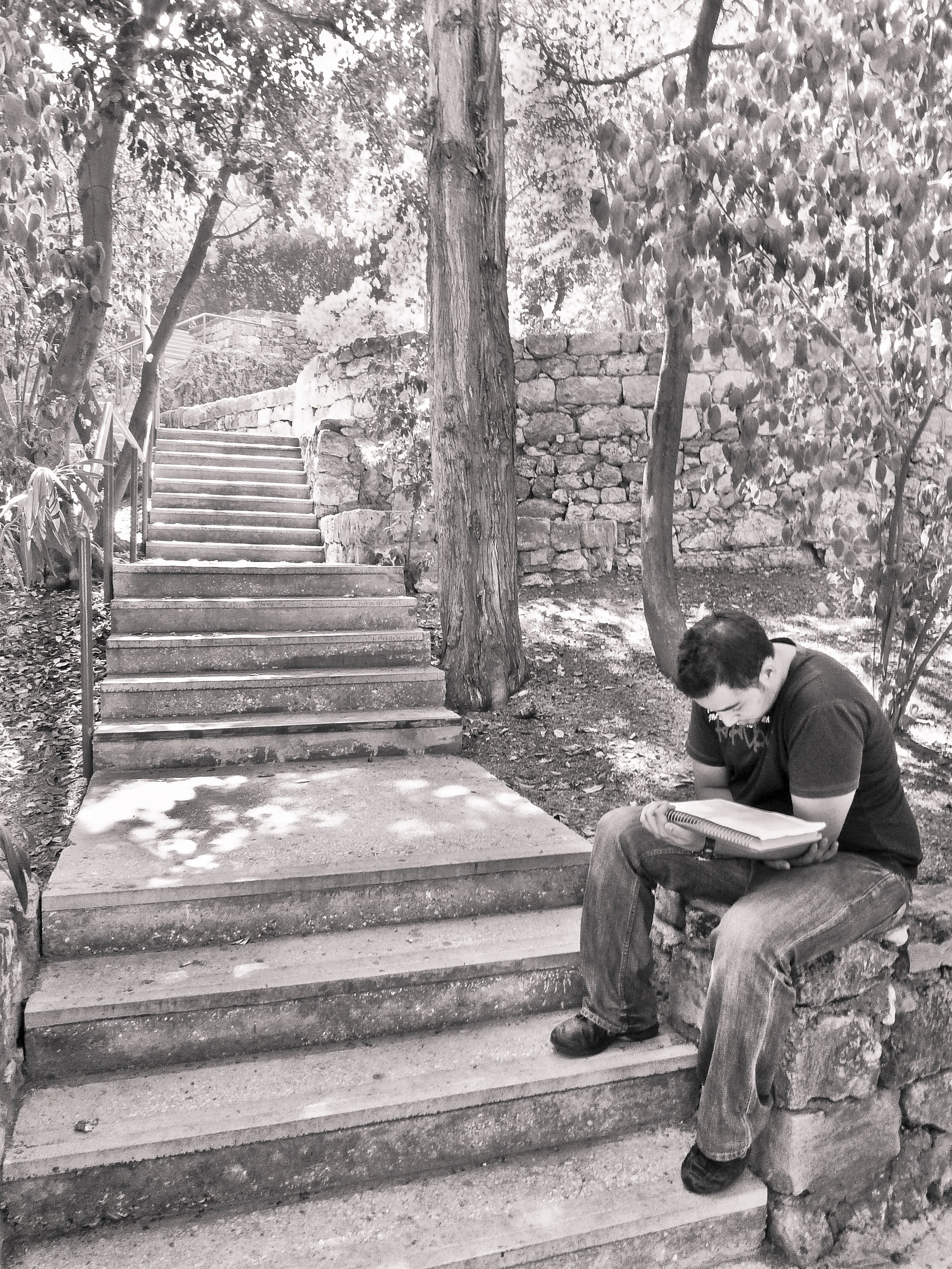 A young man sitting on a stone wall outdoors, reading a book or notebook, with stairs and trees in the background.