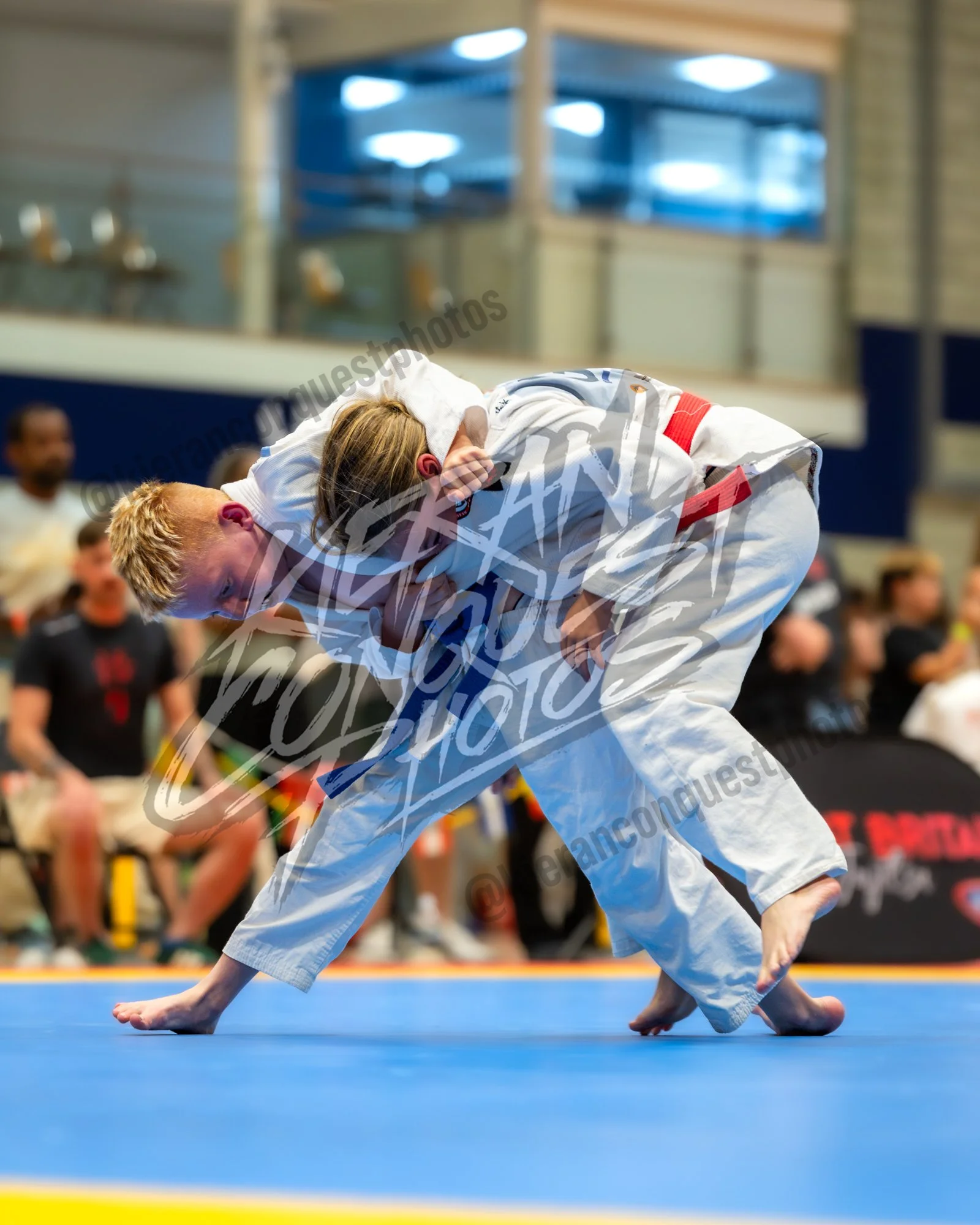 GBJ_0172