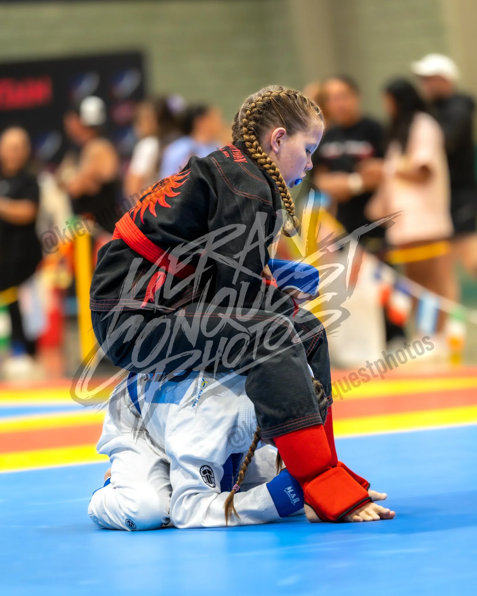 GBJ_0186