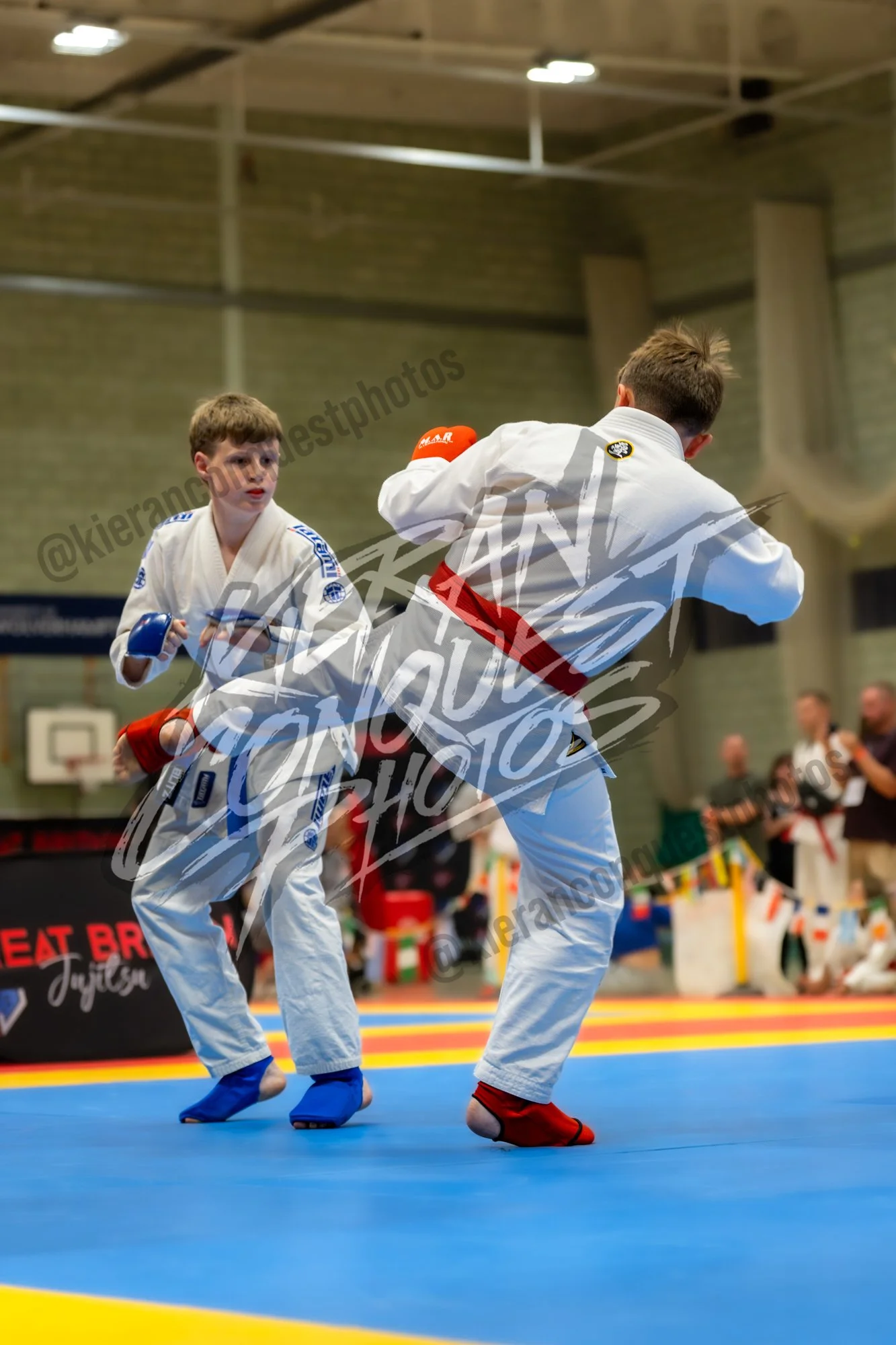 GBJ_0293