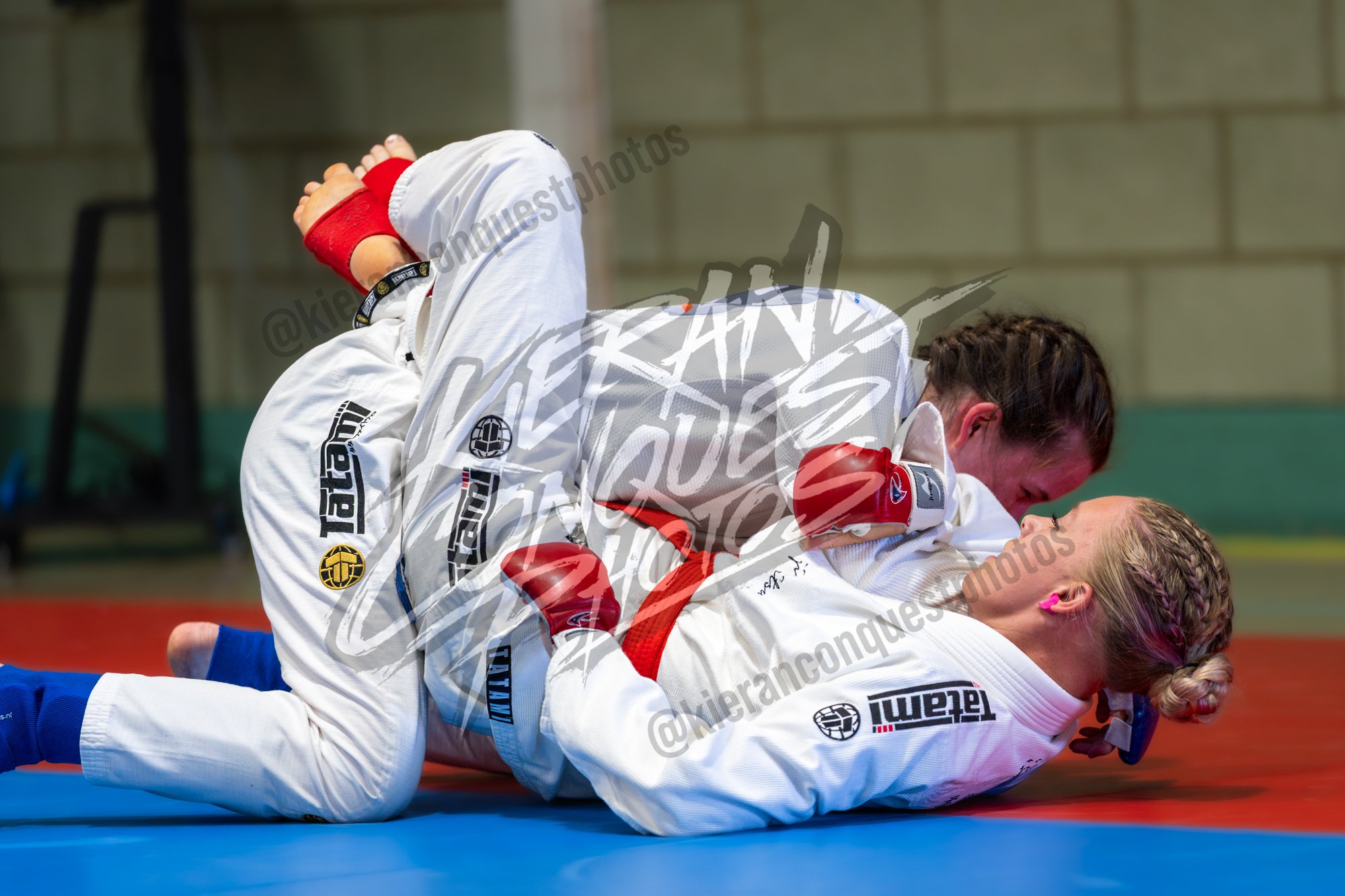 GBJ_0193