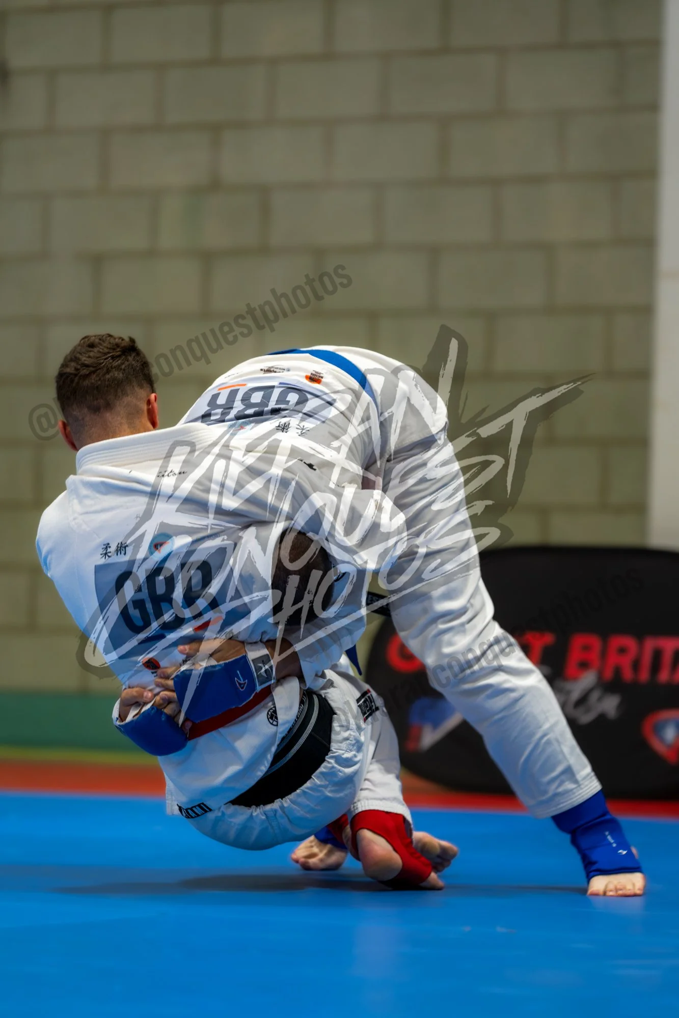 GBJ_0244
