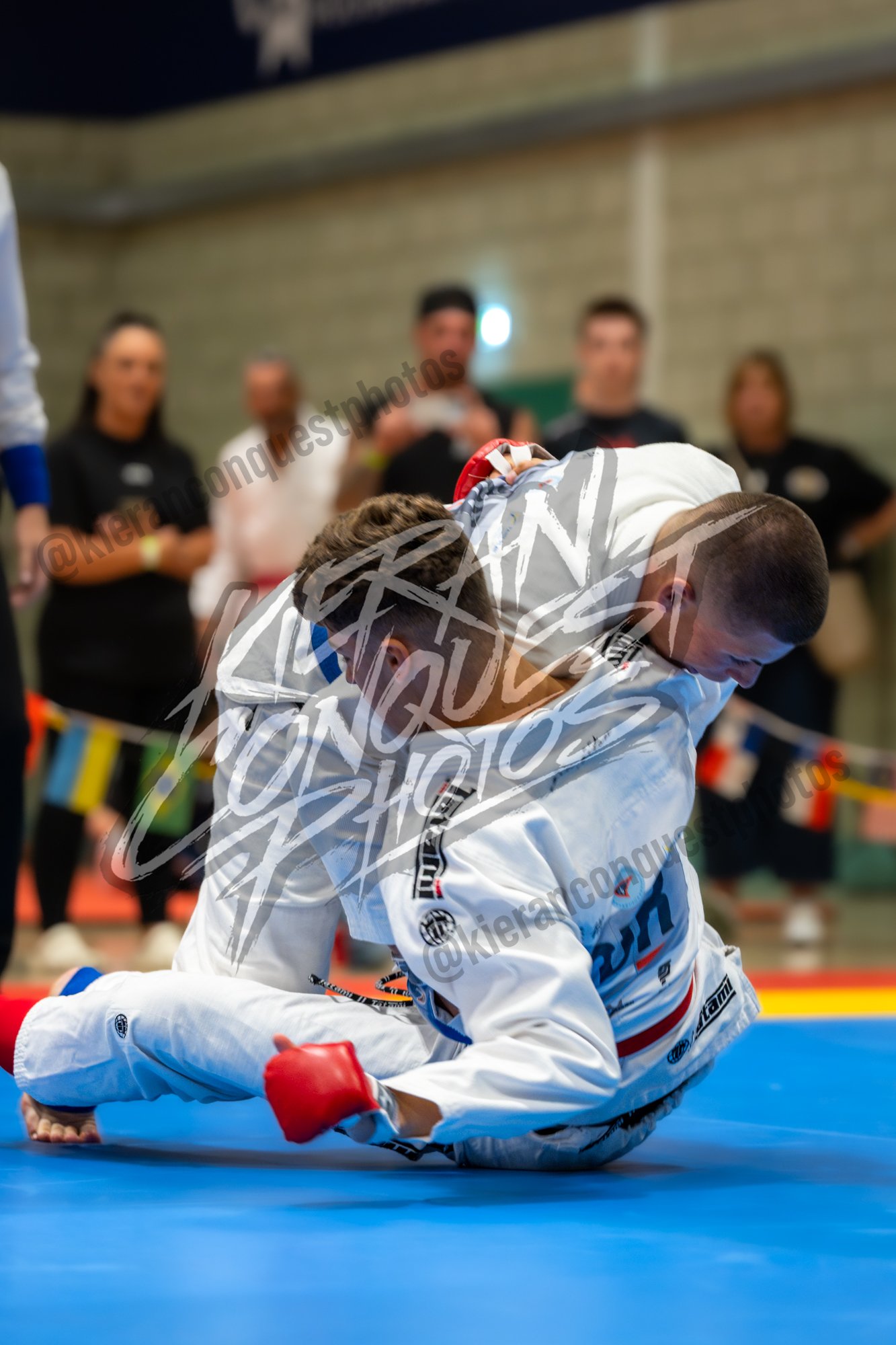 GBJ_0253