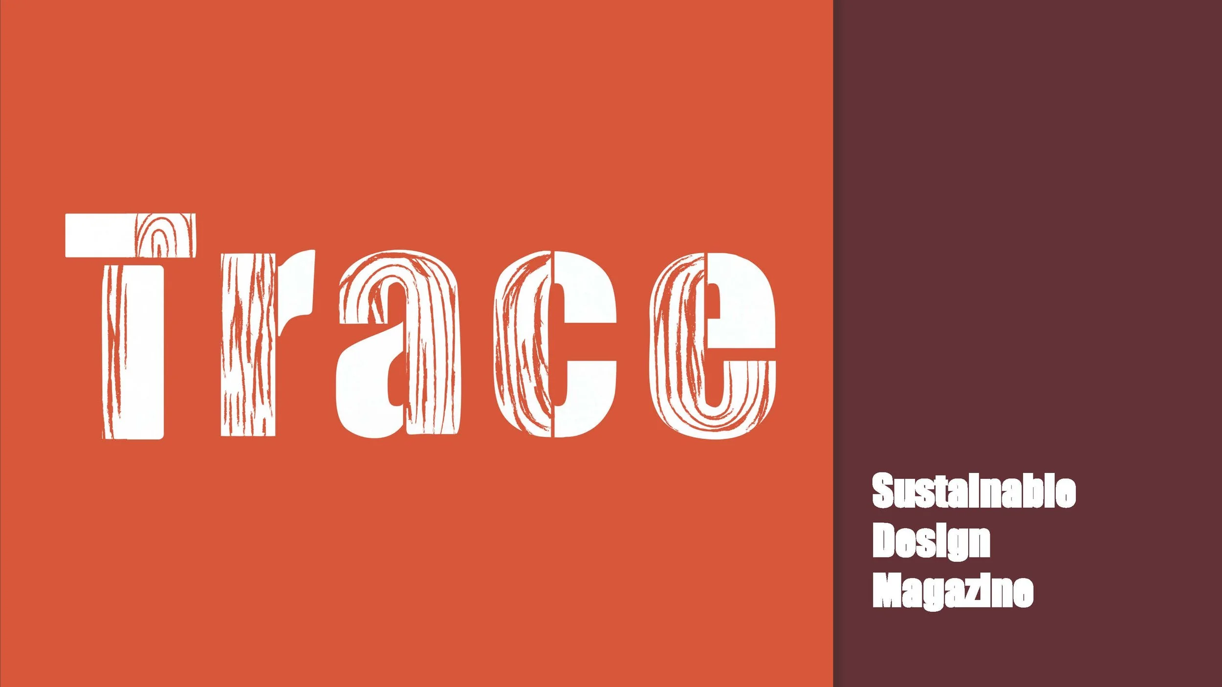 Trace_ Mission and Plan_Page_1.jpg
