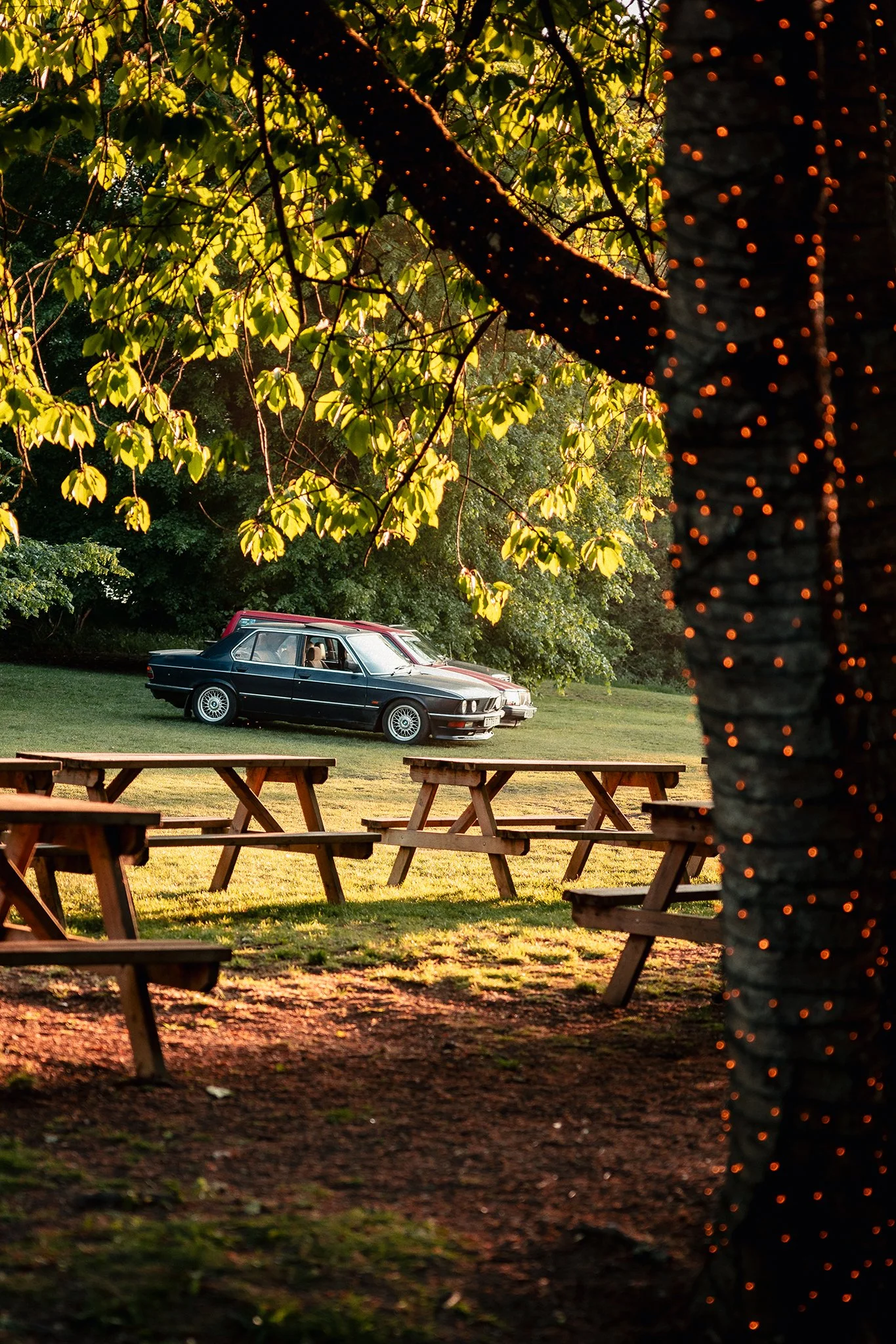 A number of older German cars sit on a hill basking in the summer evening light