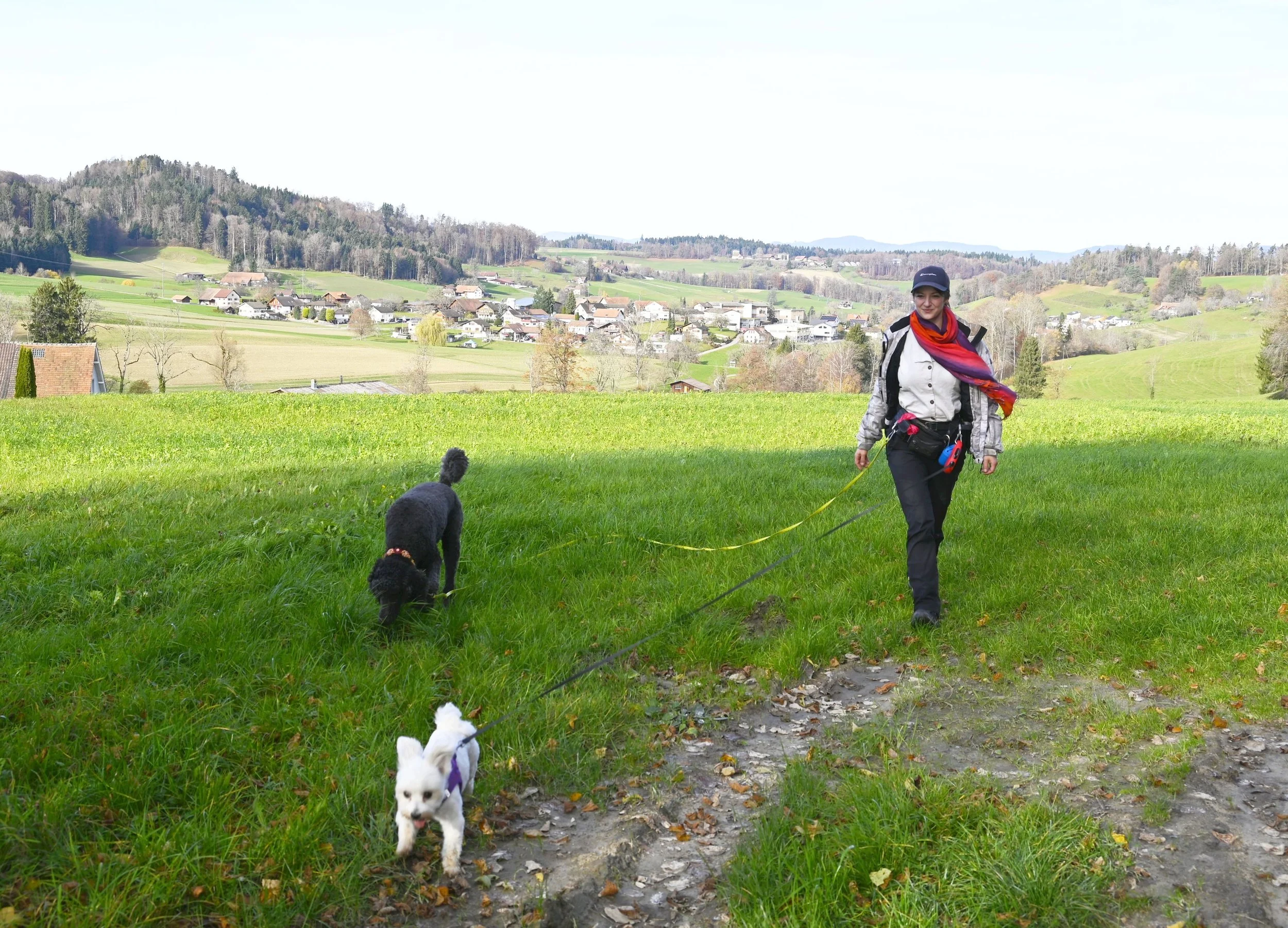 Bereichernde Spaziergänge mit Freiraum und Struktur. Zeit zum Verweilen, Schnuppern, Suchen und Natur geniessen. Gruppen bewusst klein und harmonisch. Jeder Hund fühl sich gesehen, verstanden und unterstützt.
