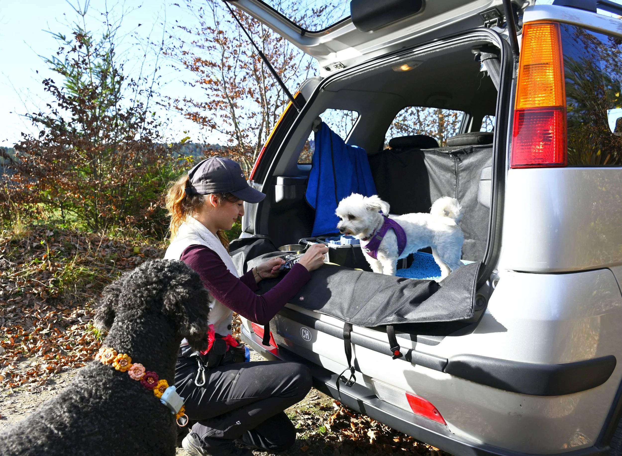 Mobile, flexible, zuverlässige Betreuung für Hunde. Spaziergänge, Tages- und Ferienbetreuung. Abholen und Bringen inklusive. Alle Hundebedürfnisse berücksichtigt. Sicher, professionell, angepasst. Eigenes Auto vorhanden.