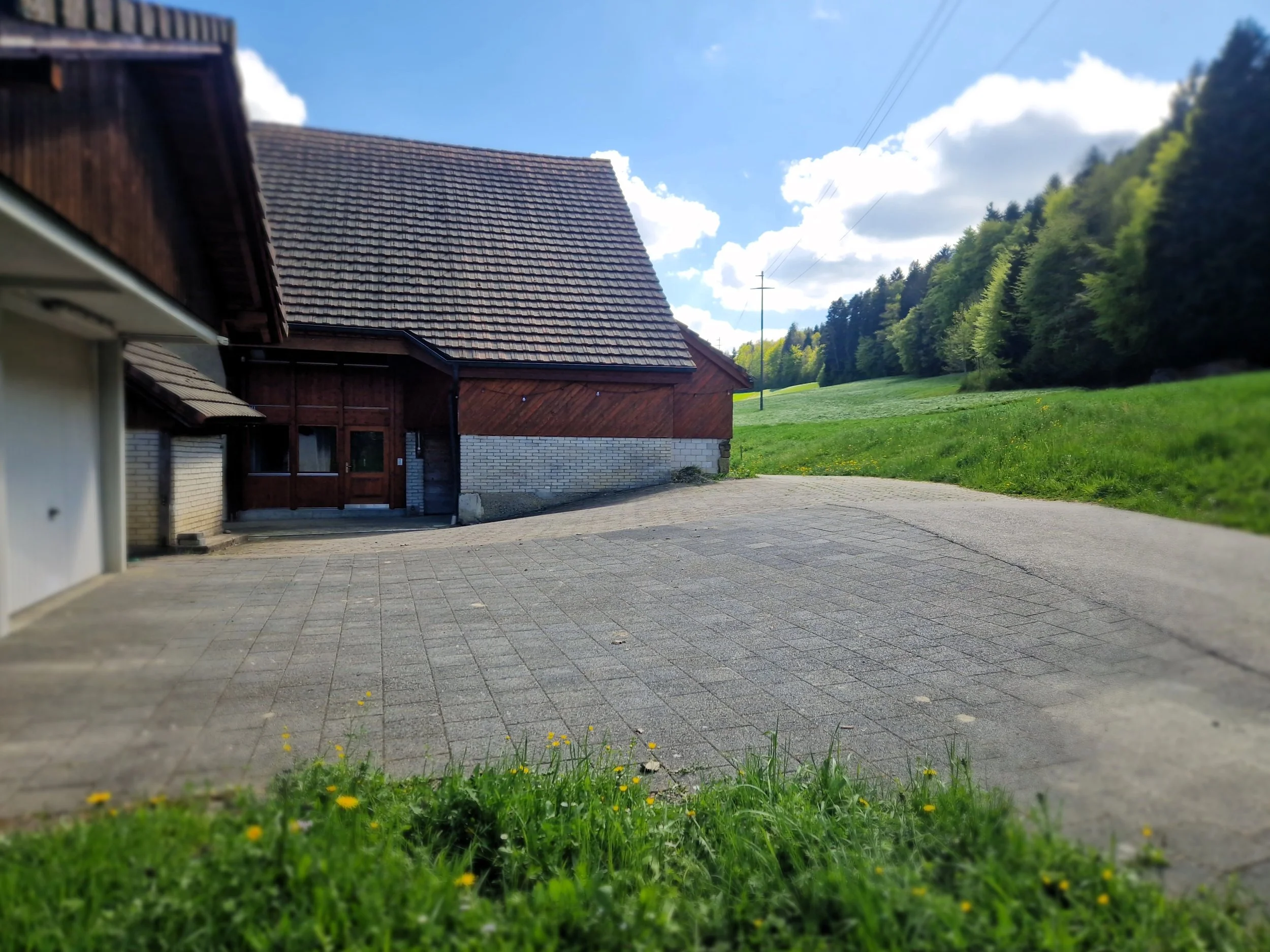 Bauernhaus direkt am Waldrand, mitten in der Natur. Tagesbetreuung, Ferienbetreuung Hunde, Dogsitting Süd Aargau. Ferienpension im Grünen in Gontenschwil.