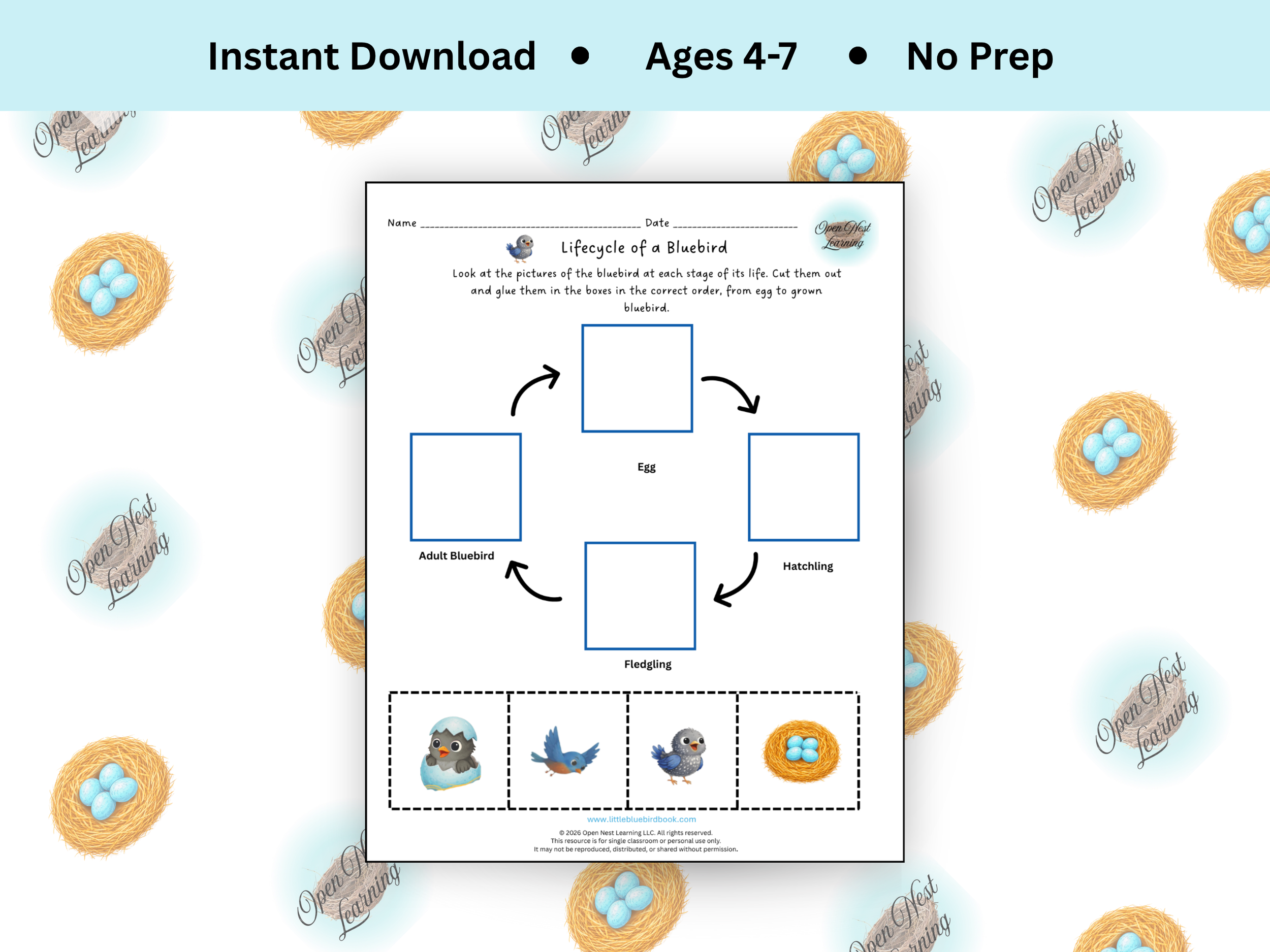 Lifecycle of a Bluebird Activity