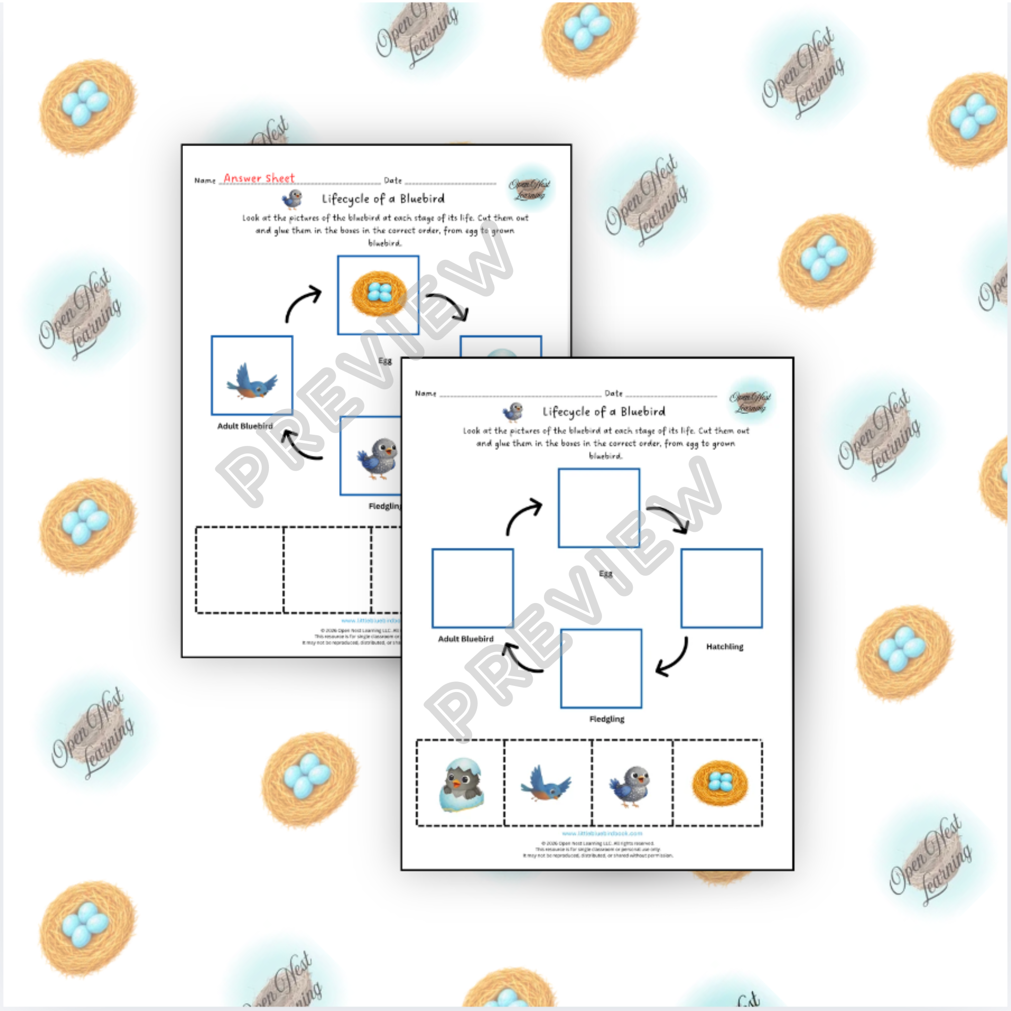 Lifecycle of a Bluebird Activity