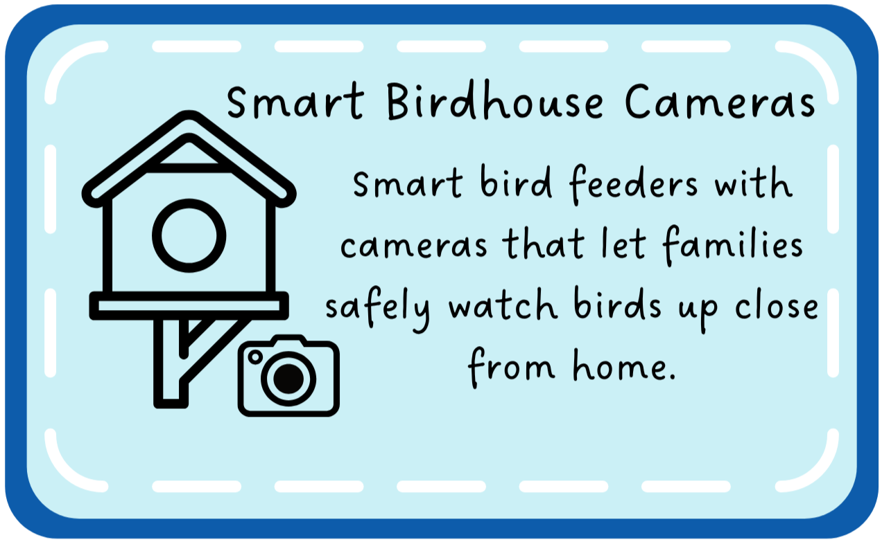Smart birdhouse camera for watching eastern bluebird nests from home