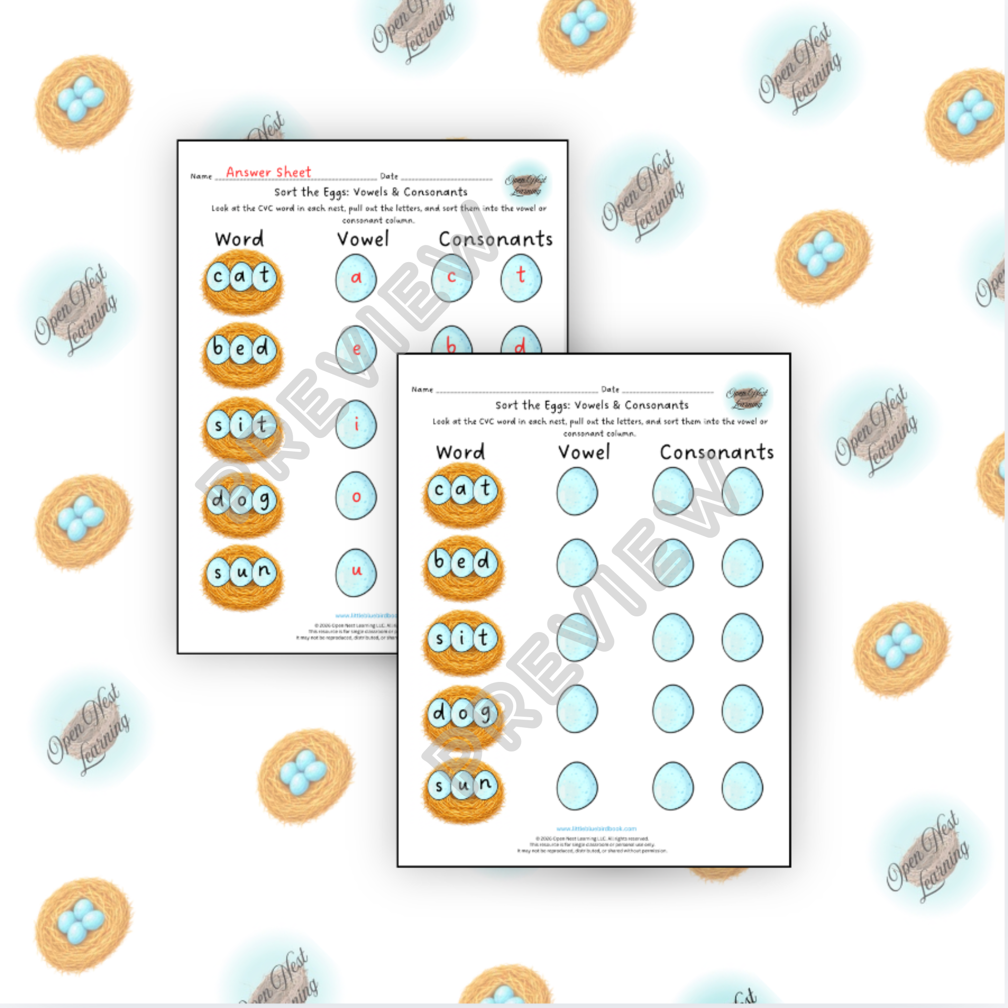 Worksheet mockup for website-  AM watching hatchlings.png