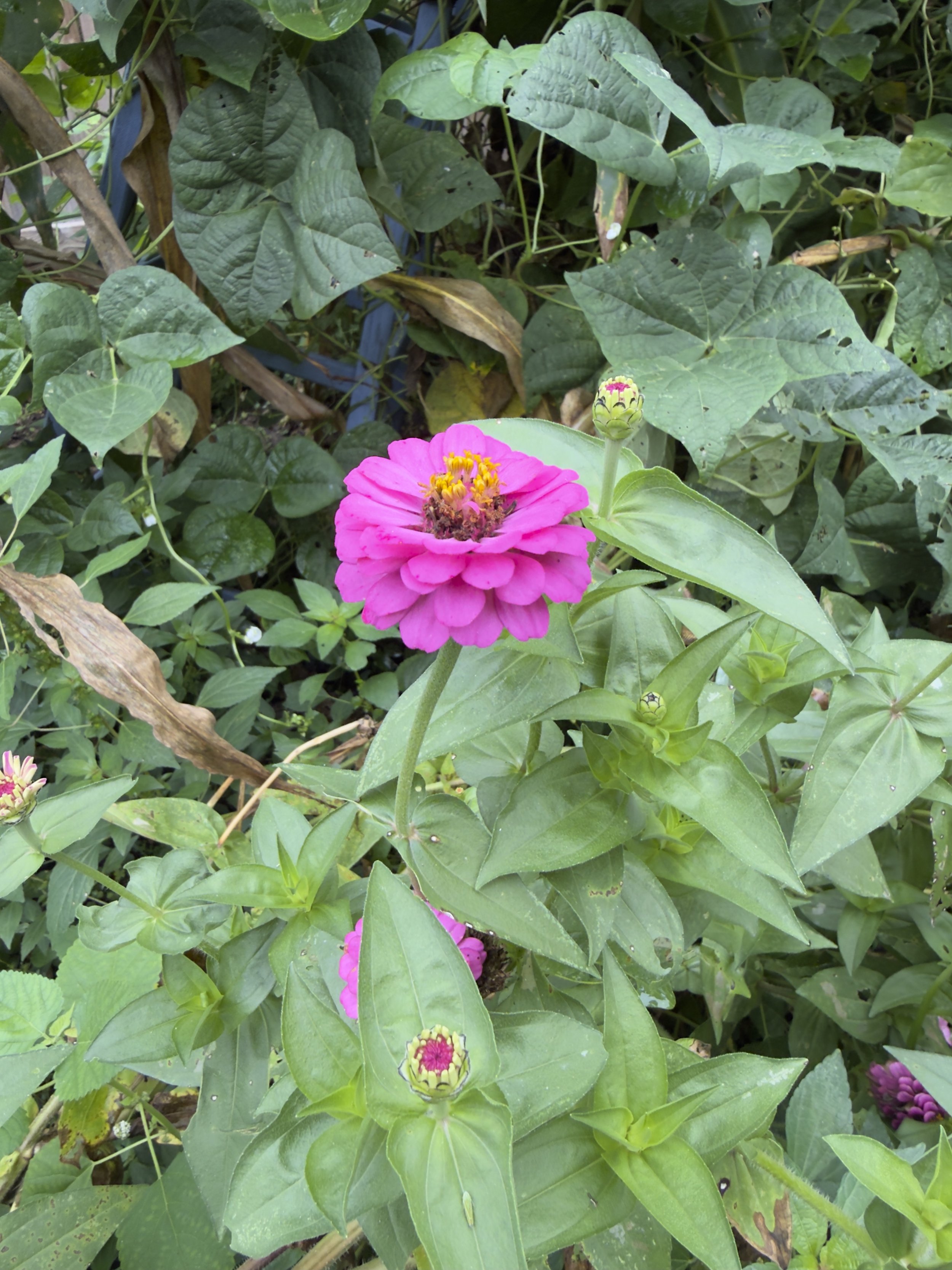 IMG_5553.jpeg