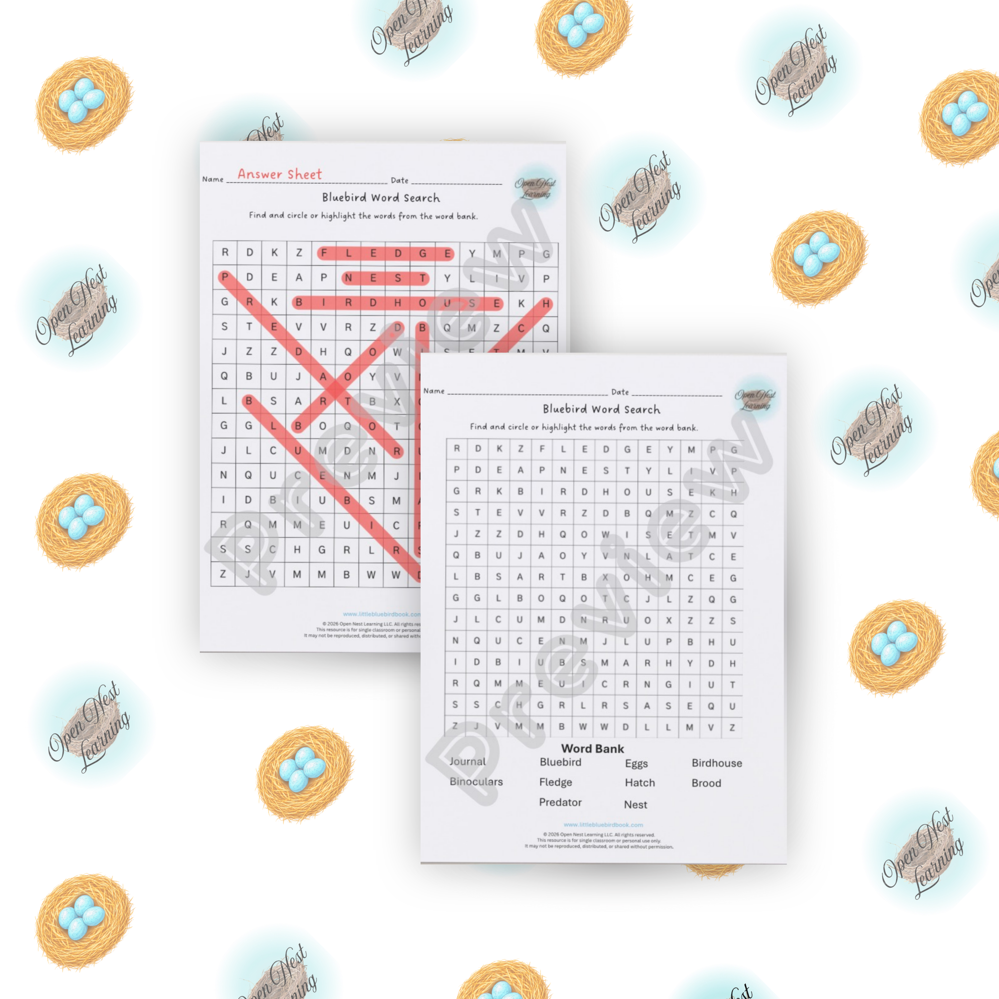 Bluebird Word Search Activity
