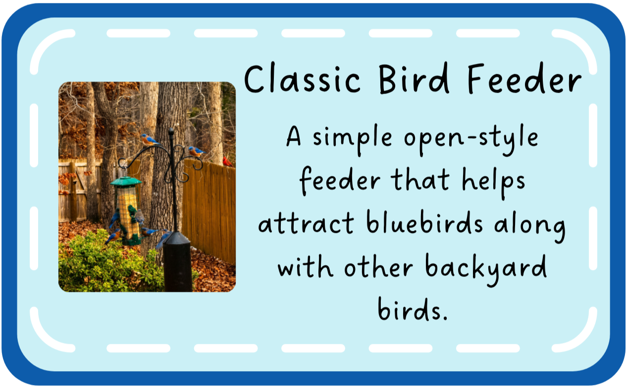 Backyard bird feeder with eastern bluebirds and other birds perched nearby