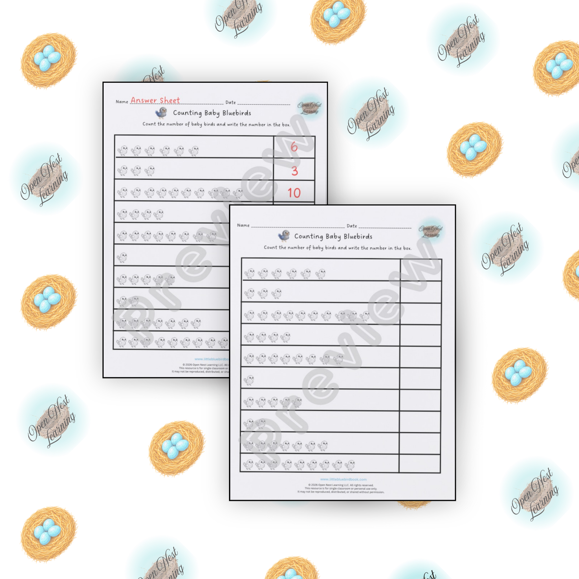 Worksheet mockup for website-  counting baby bluebirds.png