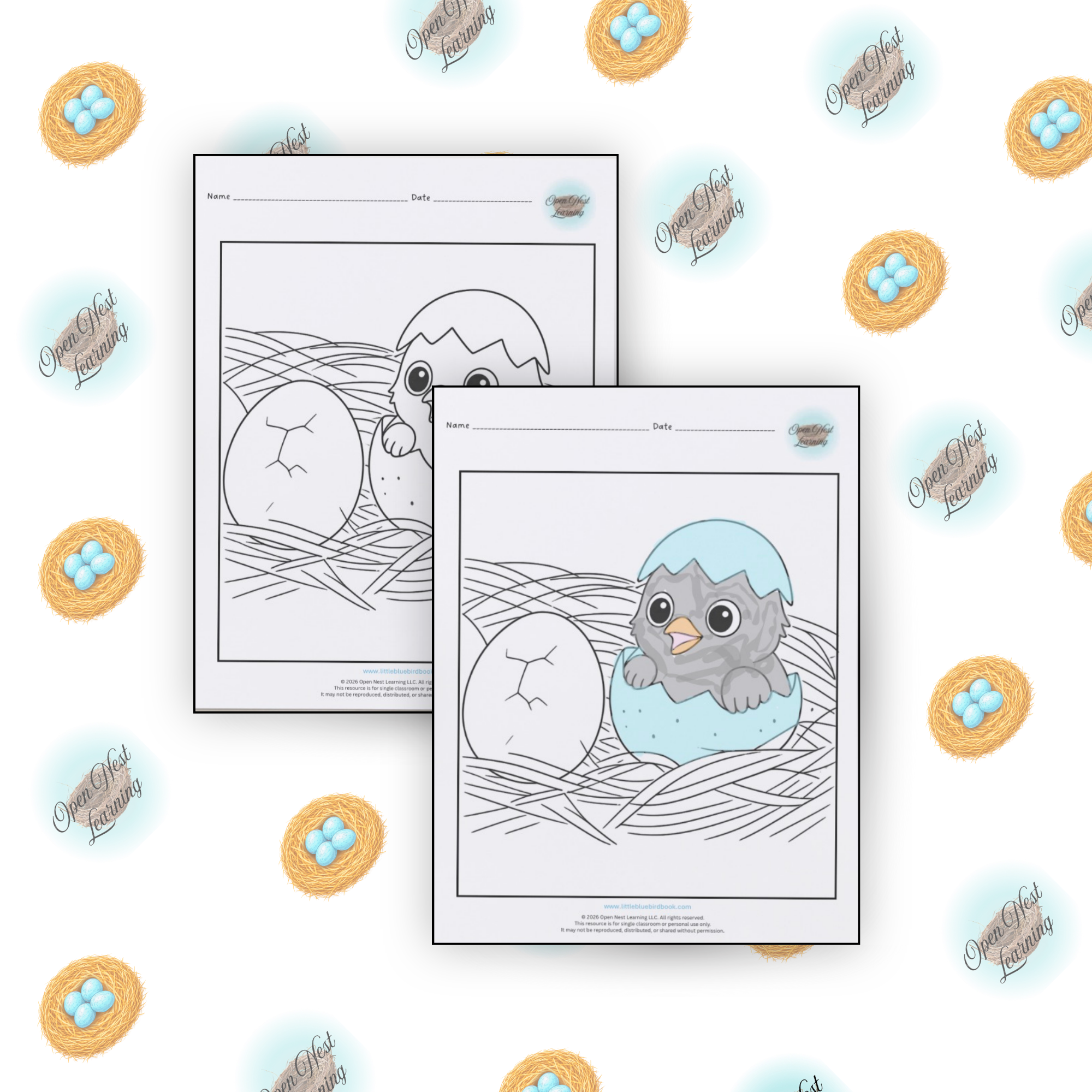 Baby Bluebirds Hatching Coloring Page