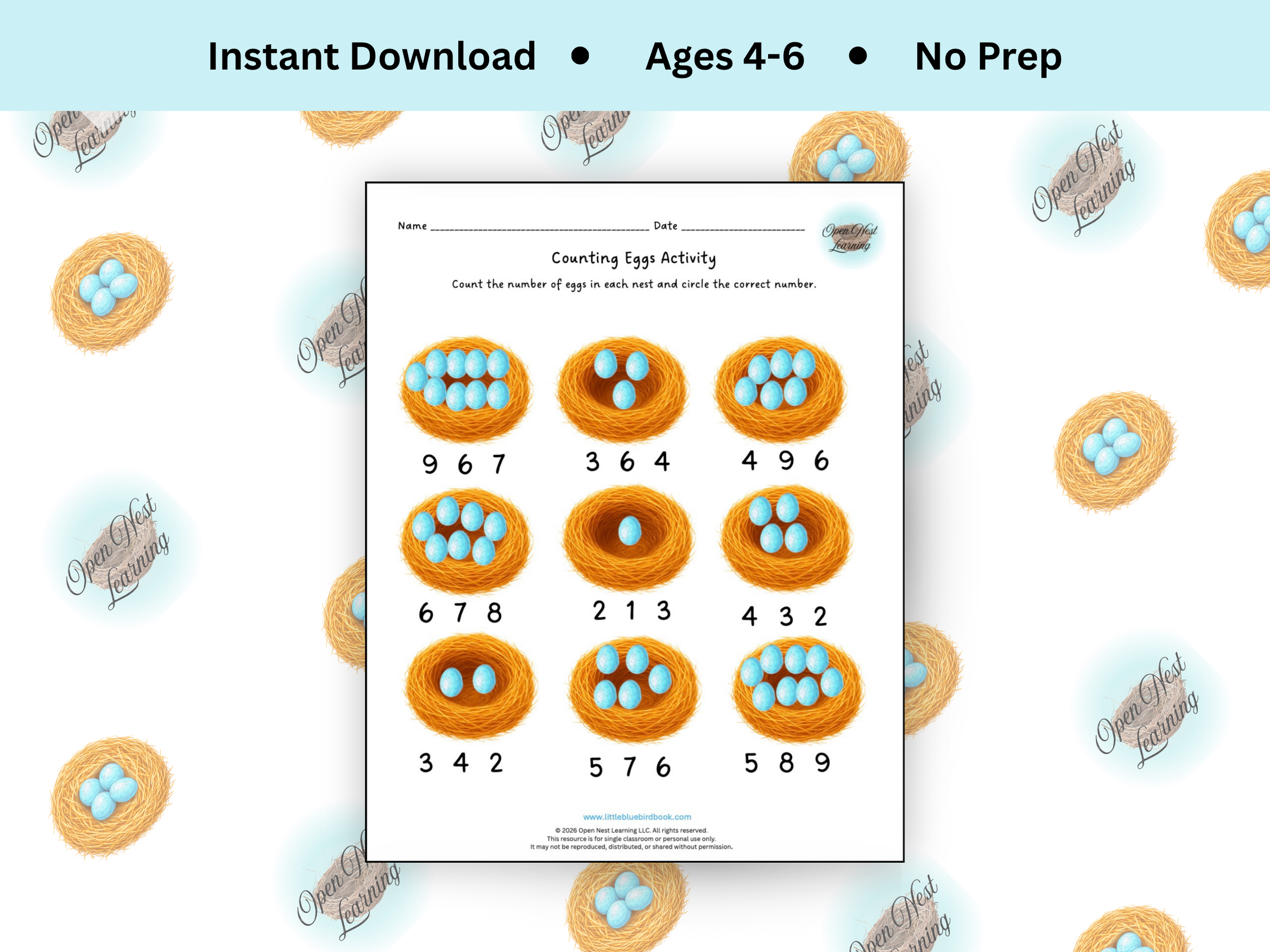 Counting Eggs Activity