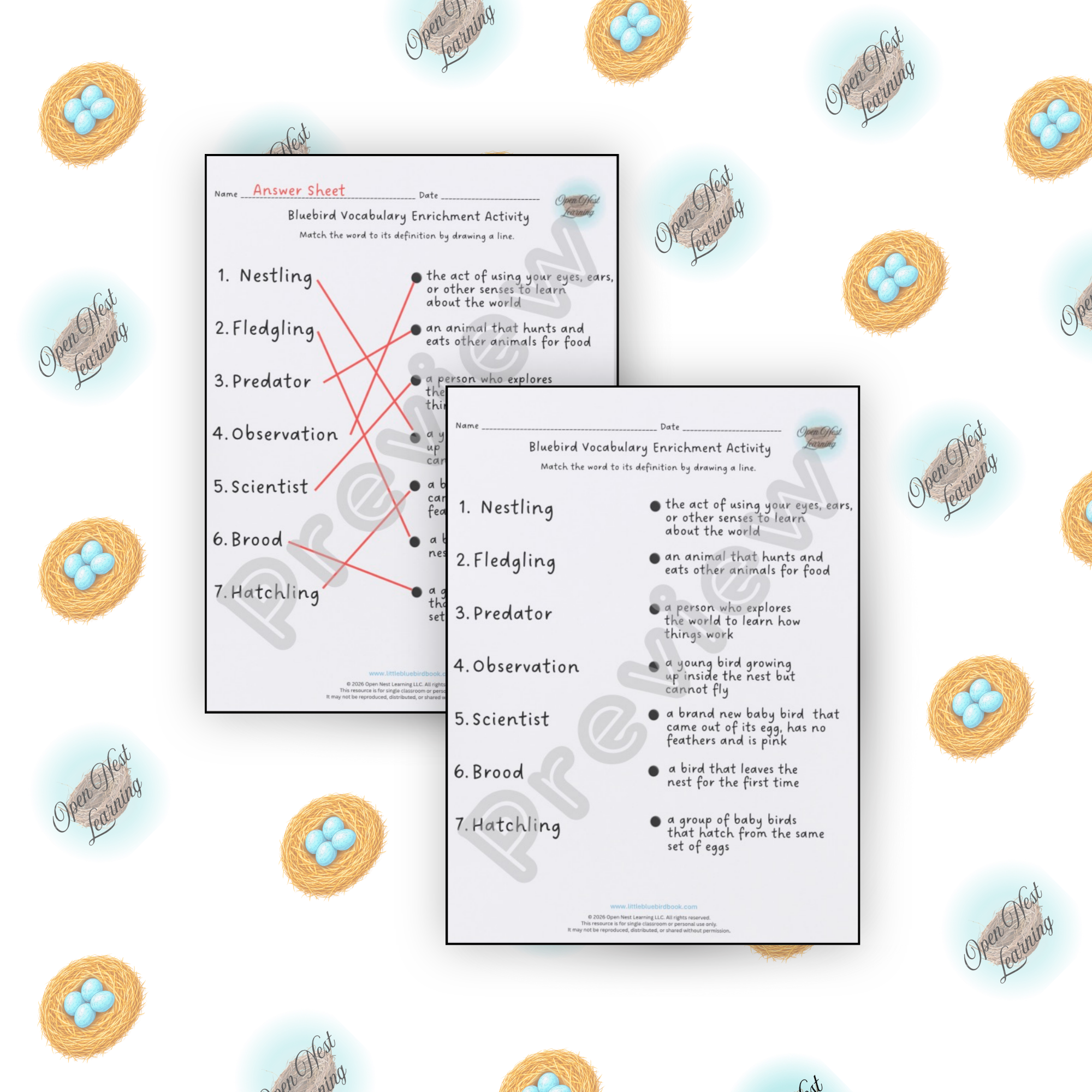 Worksheet mockup for website-  vocab.png
