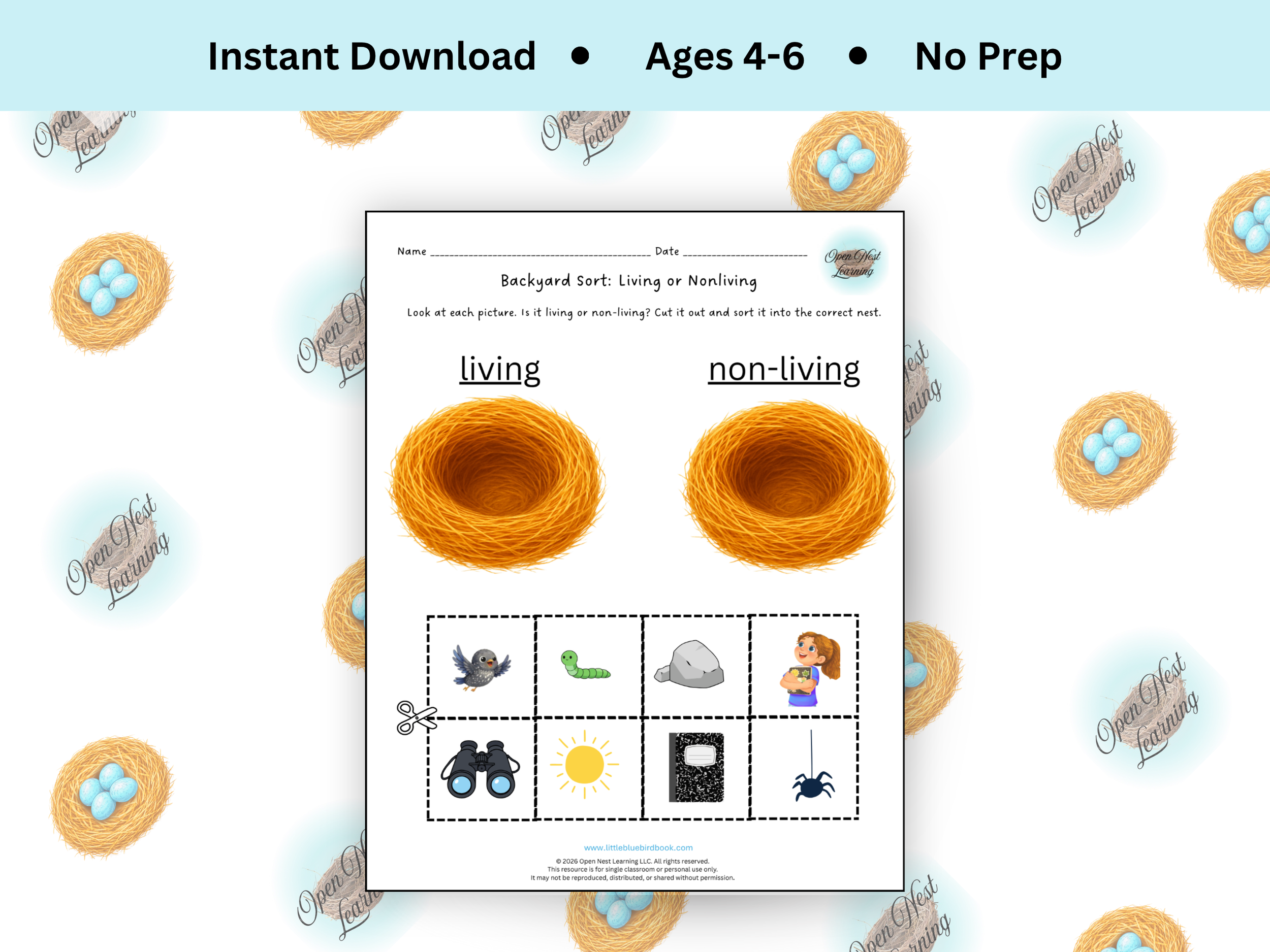 Backyard Sort: Living or Non-Living