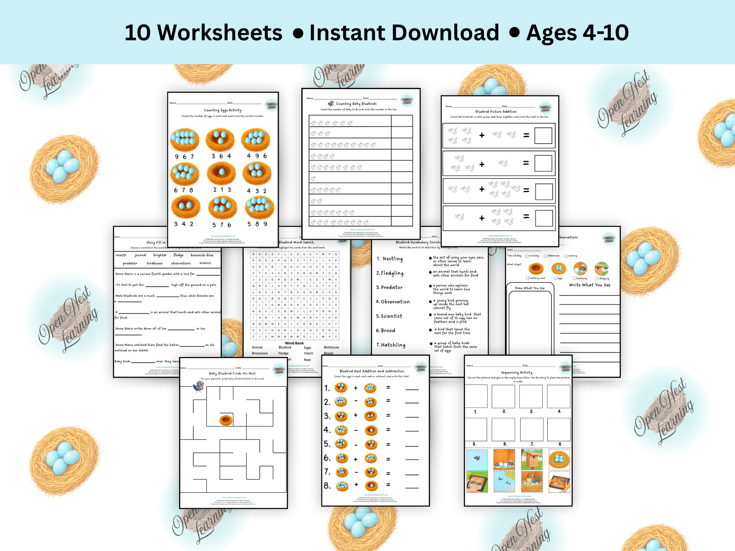 Bluebird Activity Worksheet Bundle