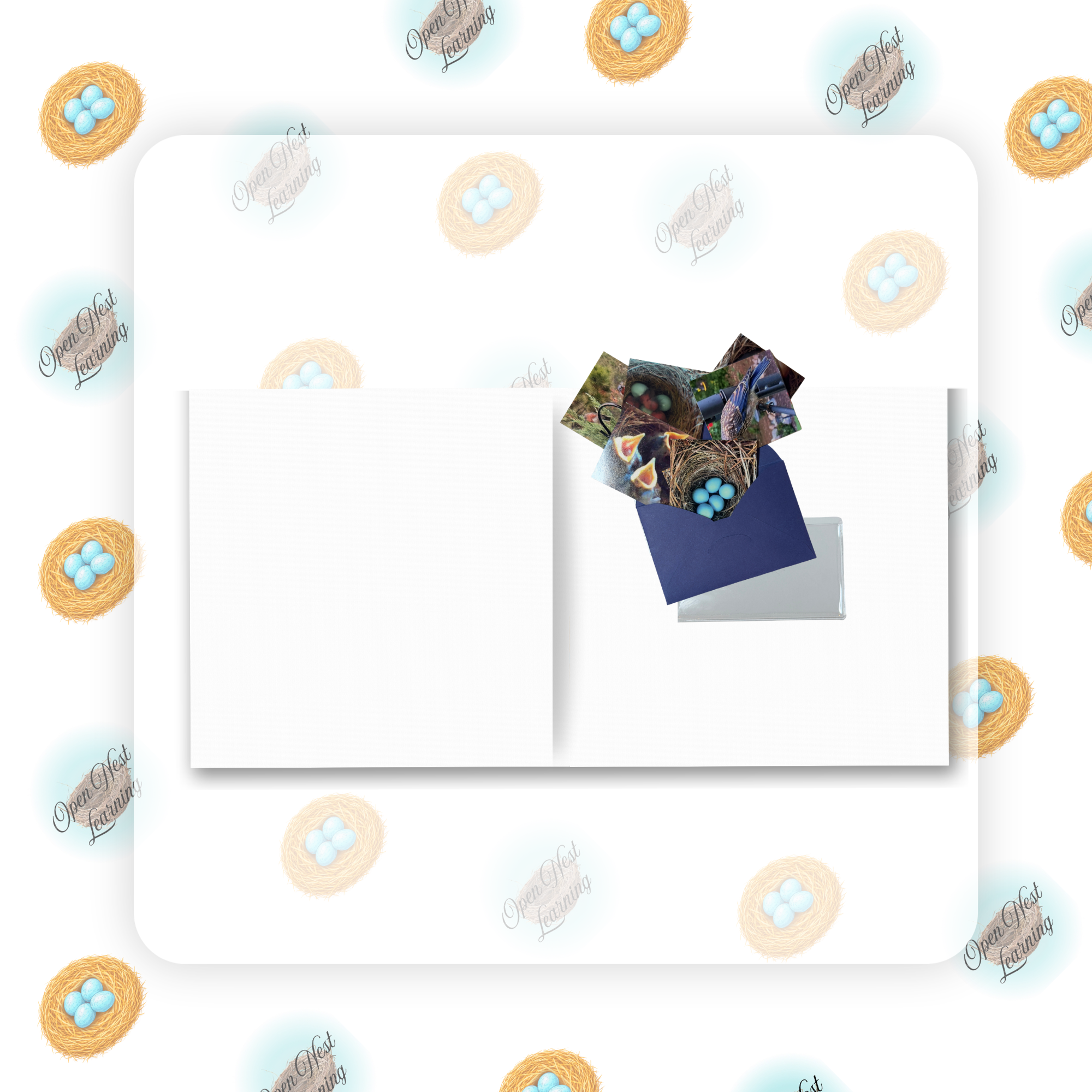 7.png