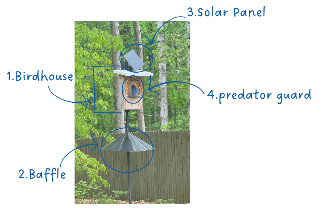 Diagram of eastern bluebird birdhouse setup