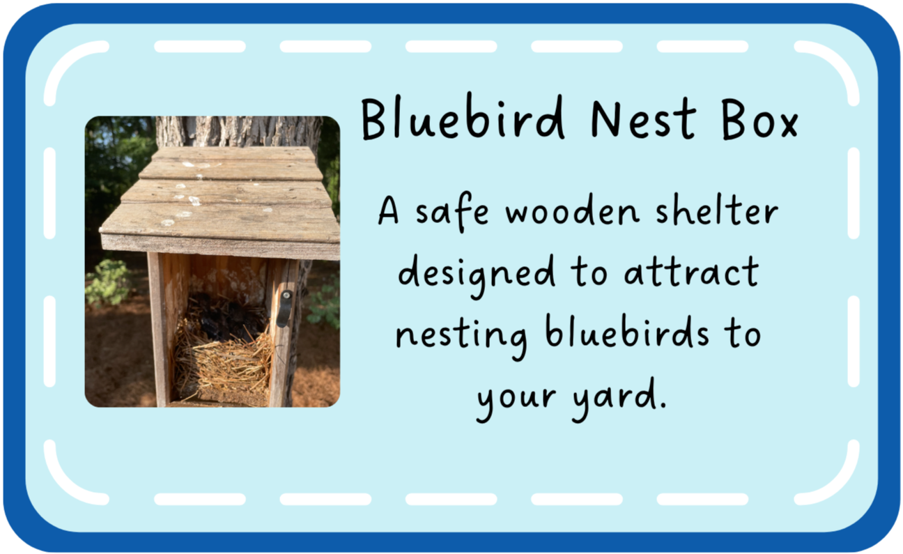 A wooden eastern bluebird nest box mounted on a tree with a nest inside.