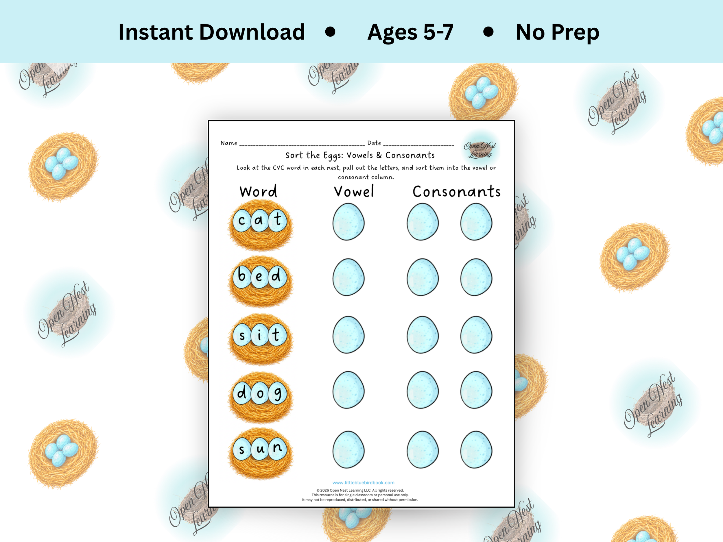 Sort the Eggs: Vowels & Consonants Activity