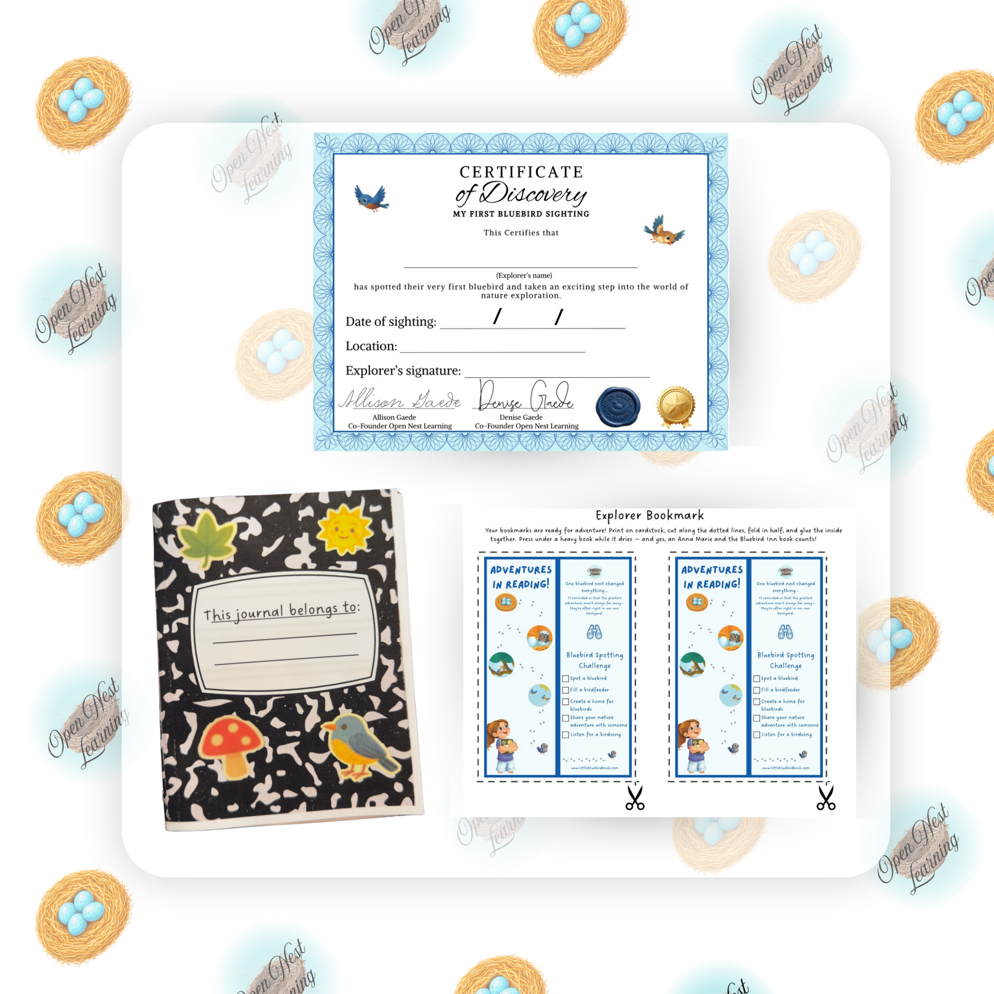Anna Marie's Backyard Explorer Bundle