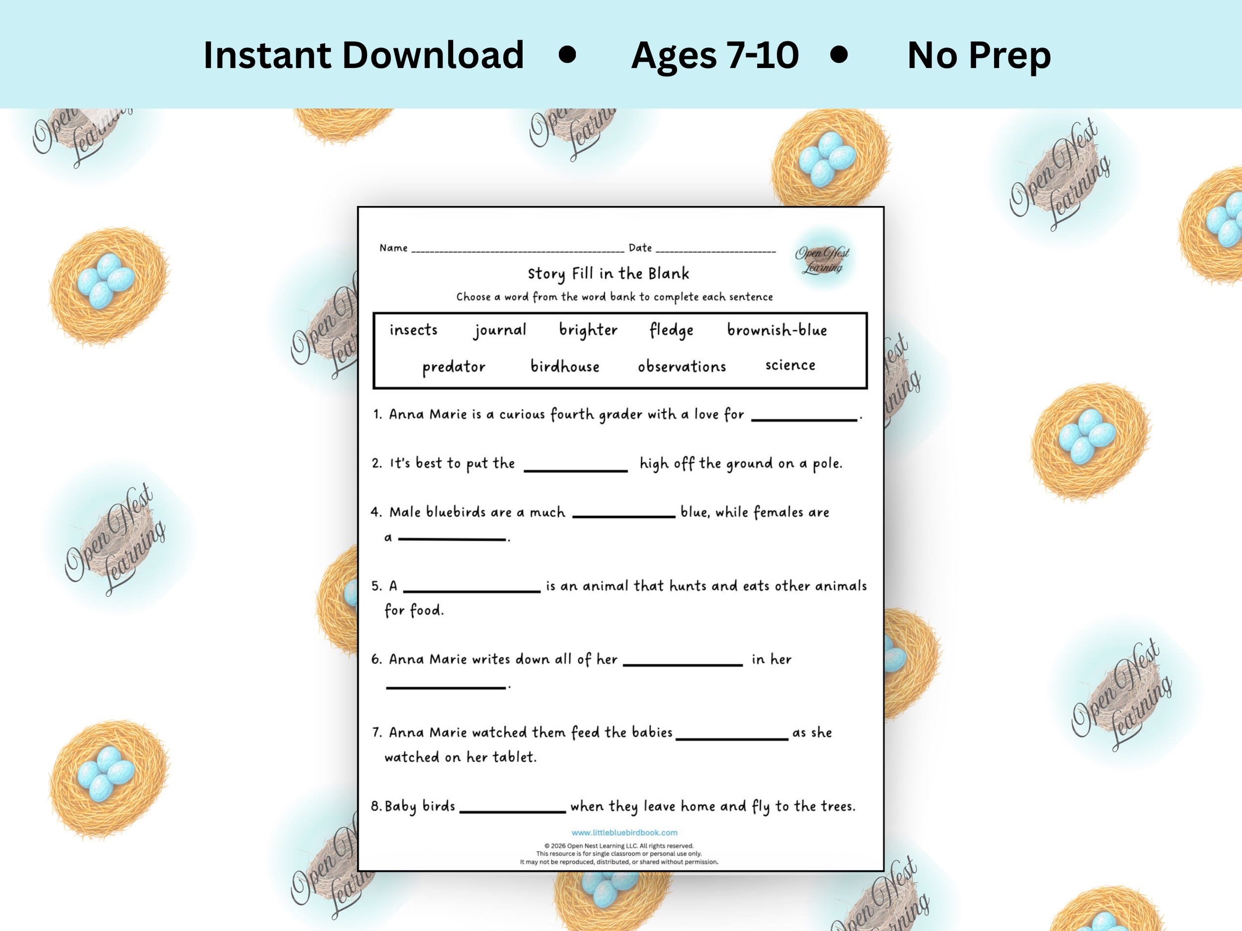 Story Fill in the Blank Activity