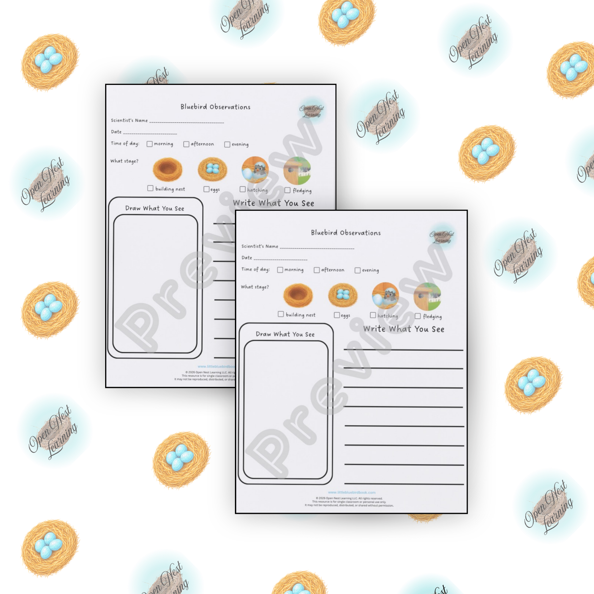 A sheet of paper titled 'Bluebird Observations' with spaces to record details like scientist's name, date, time of day, and stages of bluebirds. The paper includes icons representing nesting stages such as nest building, eggs, hatching, and fledging. The paper is placed on a background decorated with illustrations of bird nests containing blue eggs and the text 'Open Nest Learning' repeatedly.