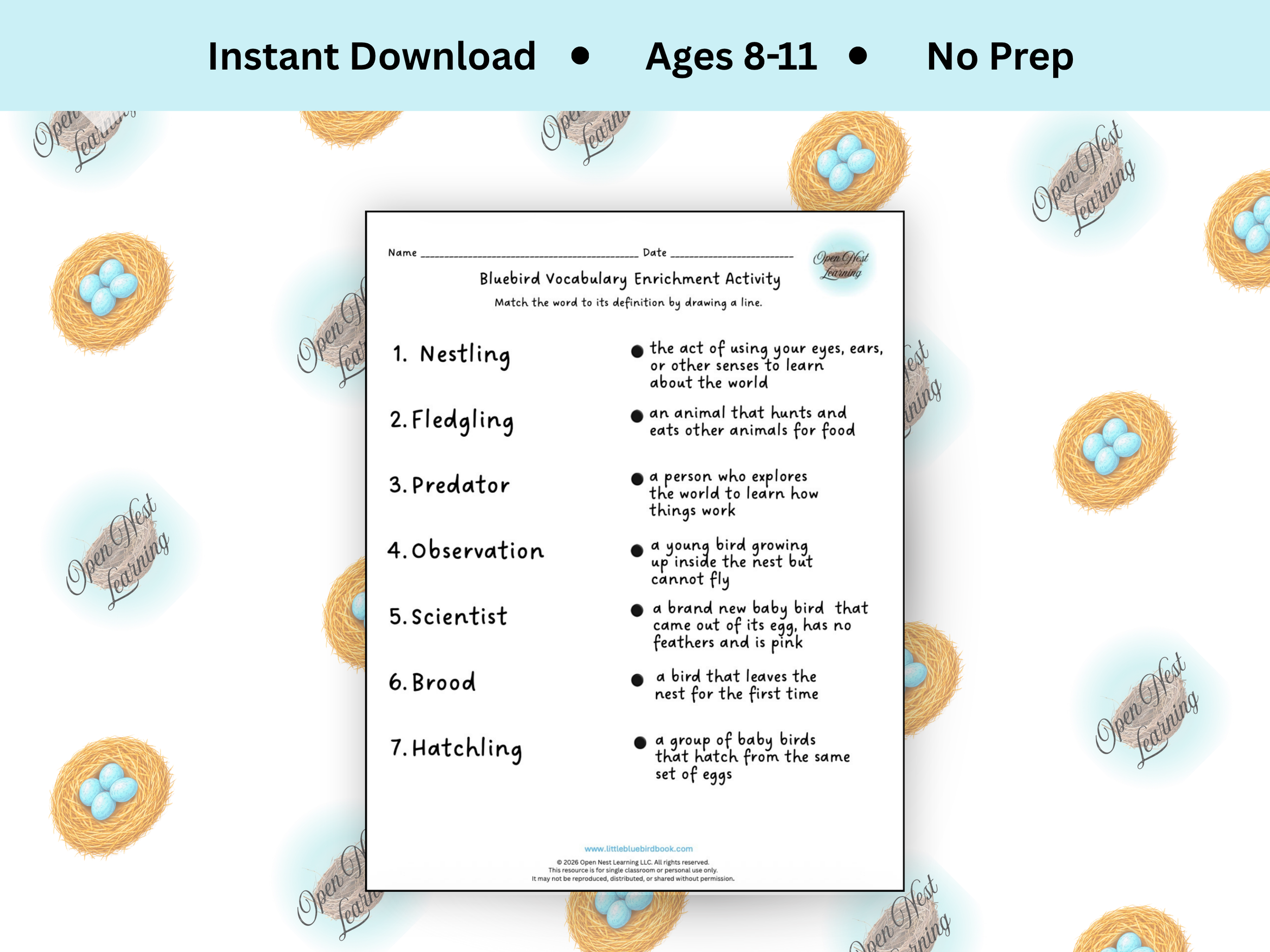 Bluebird Vocabulary Enrichment Activity
