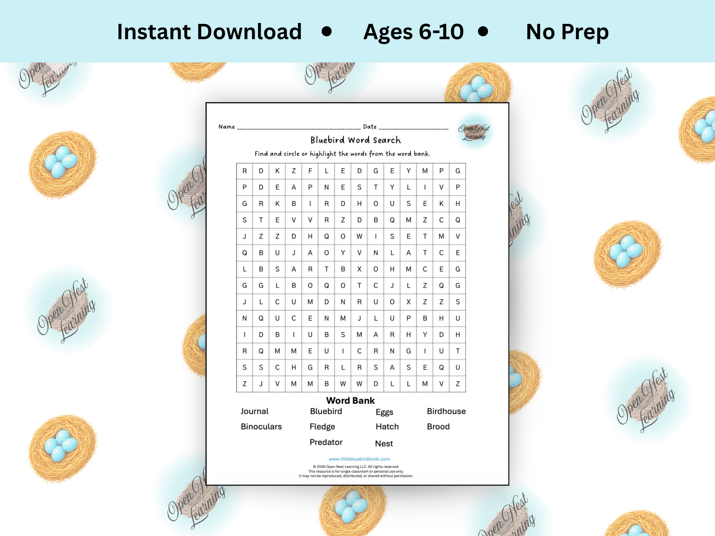 Bluebird Word Search Activity