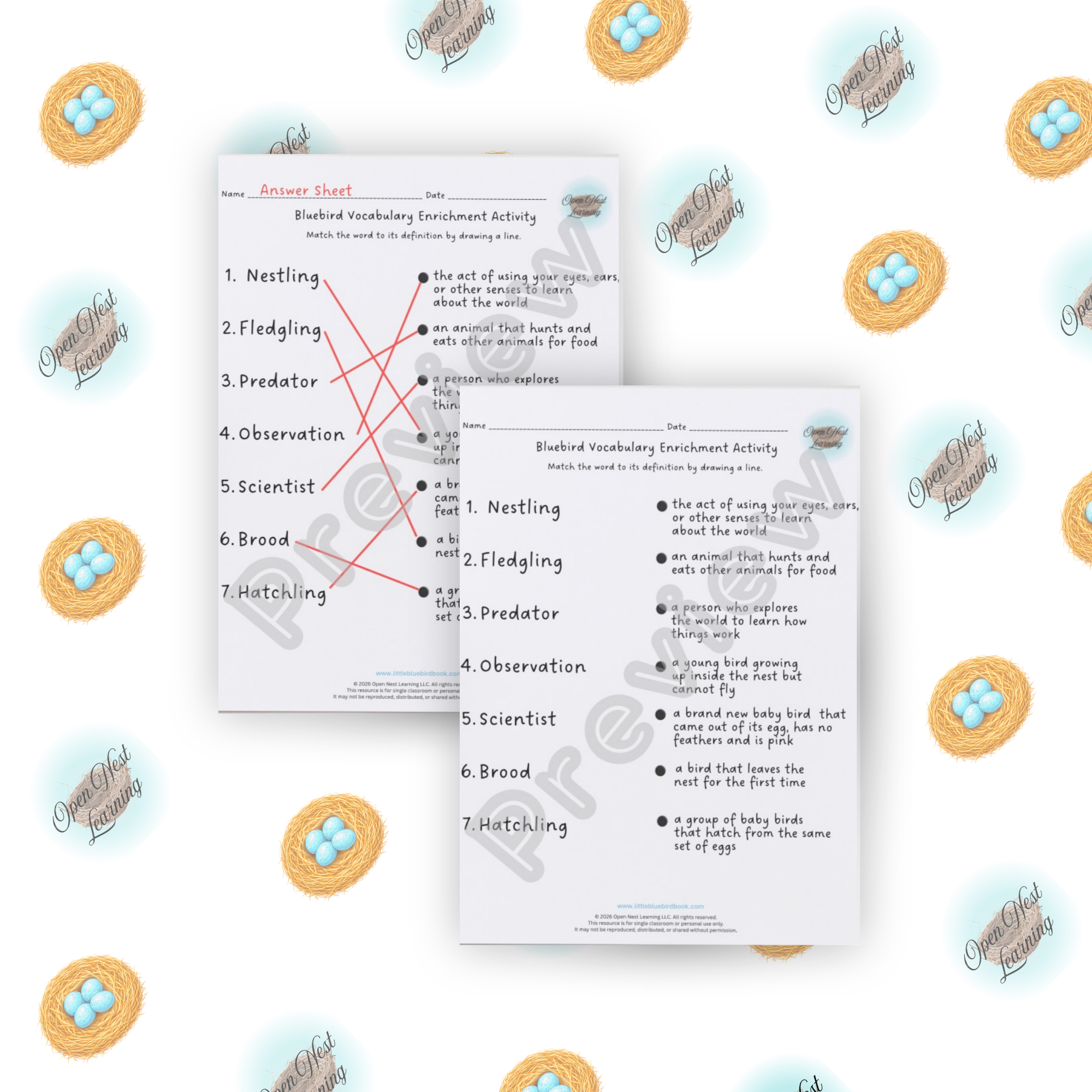 Bluebird Vocabulary Enrichment Activity