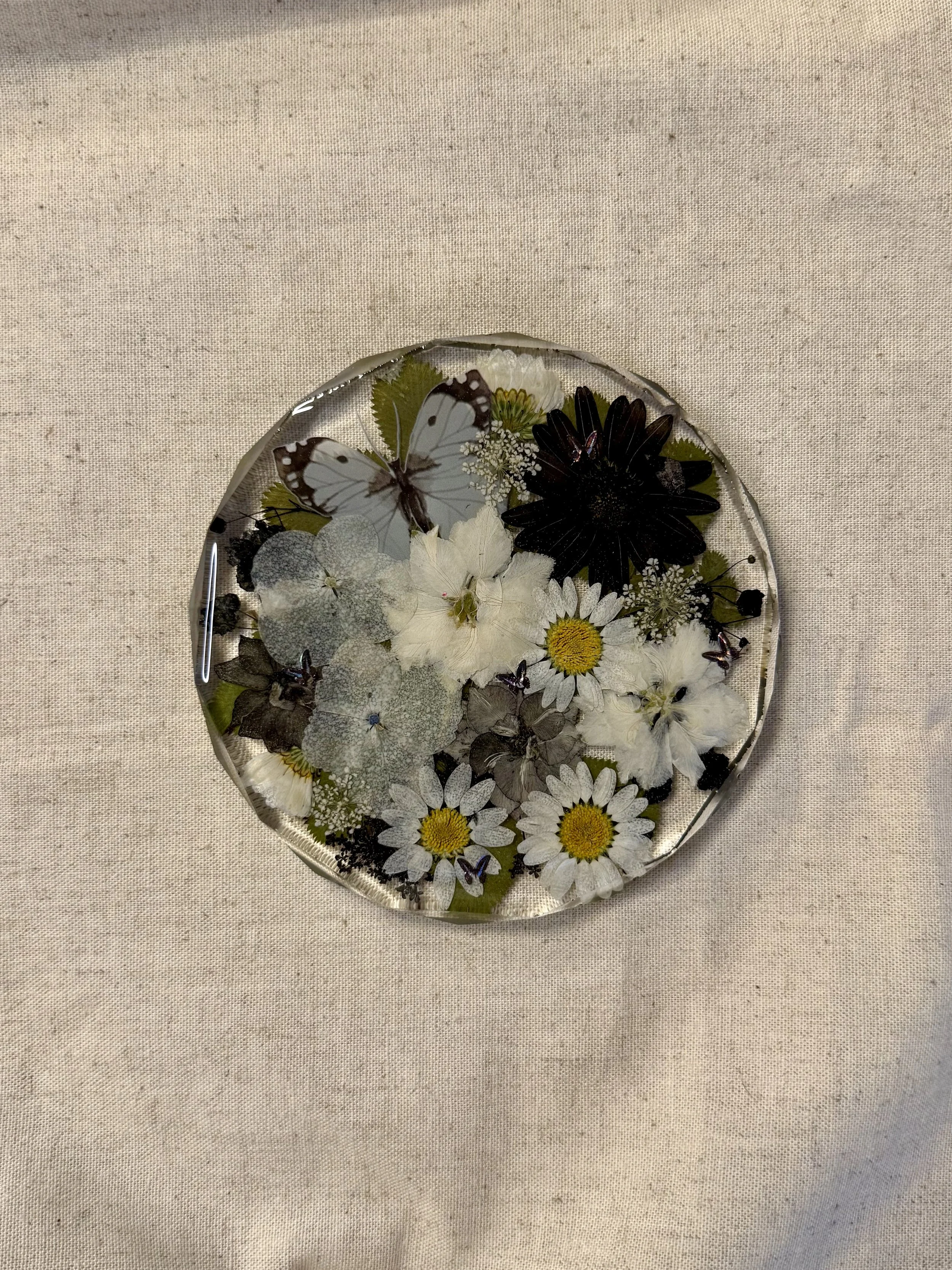 GALLERY PRESSED BLOOMS COASTER 27.jpg