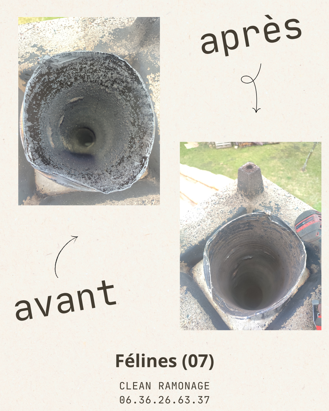 Félines.png