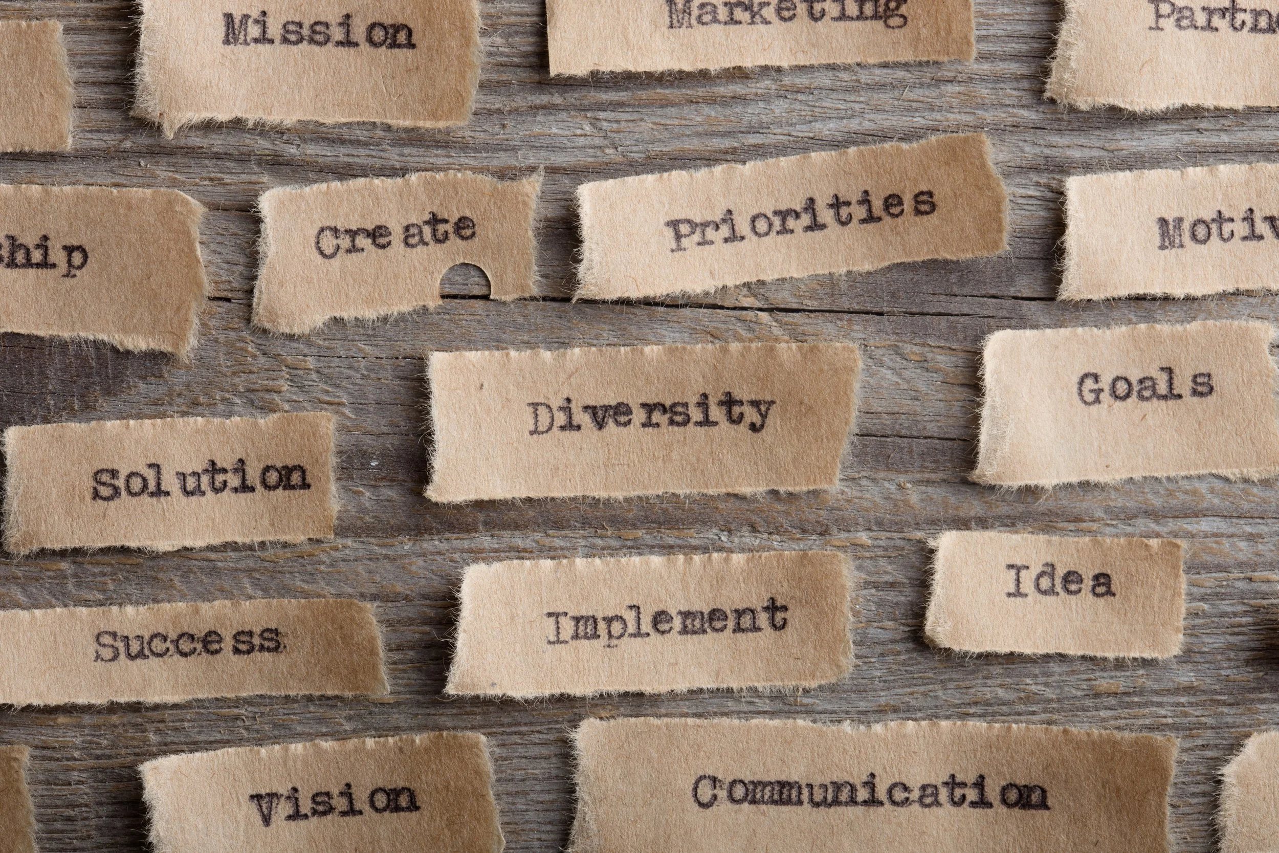 Image shows some key words relating to learning, for example, 'idea', 'diversity' and 'solution'.