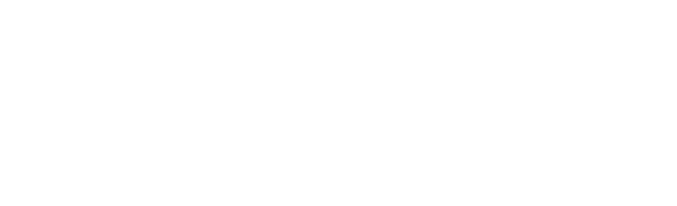 Logo Regent Partners