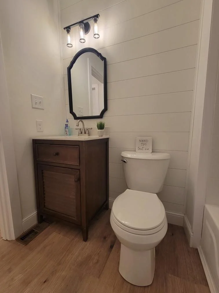 Bathroom with a white toilet, a wooden cabinet with a sink, a mirror, a small potted plant, a soap dispenser, and a light fixture with three bulbs.