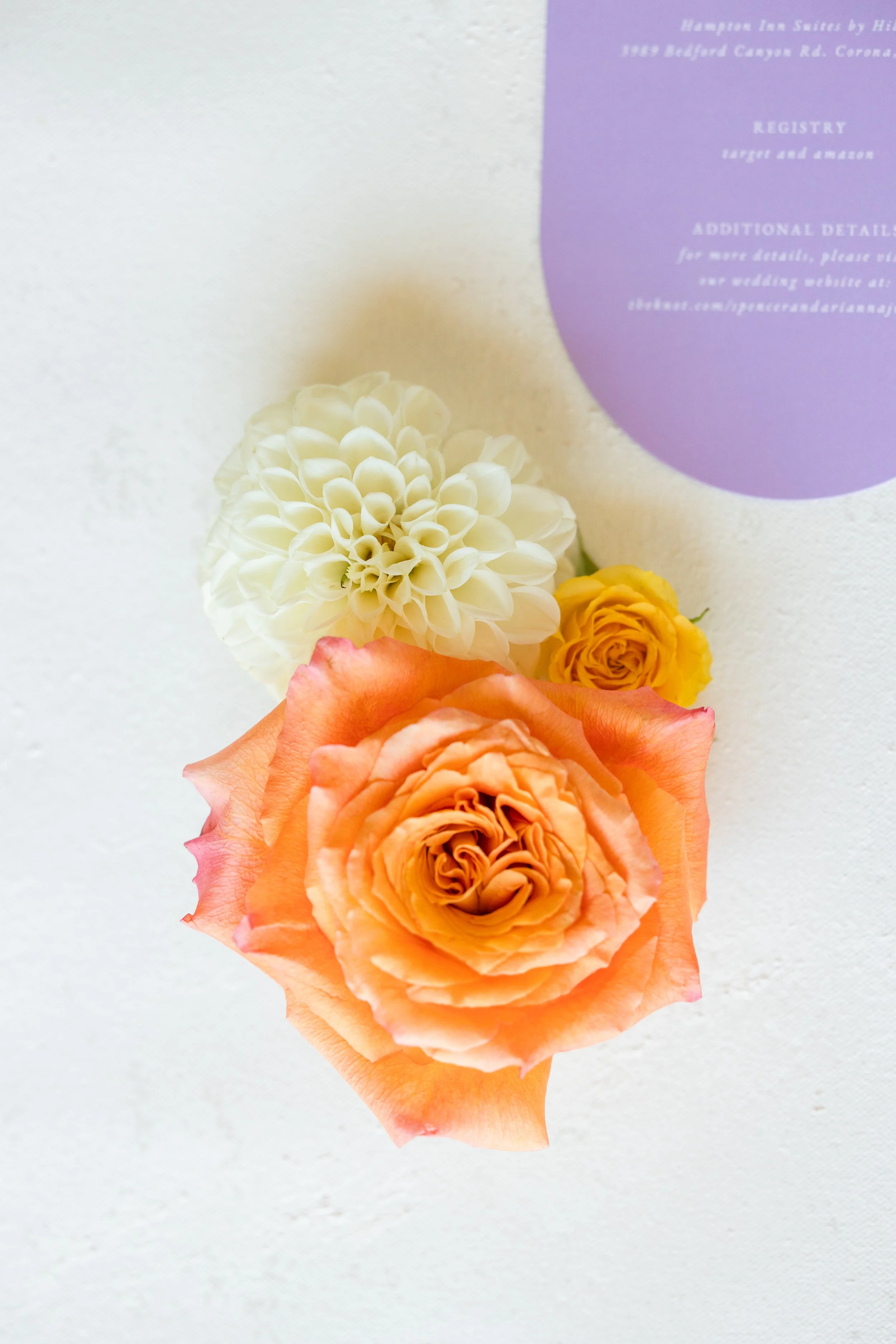 Arianna + Spencer-15.jpg