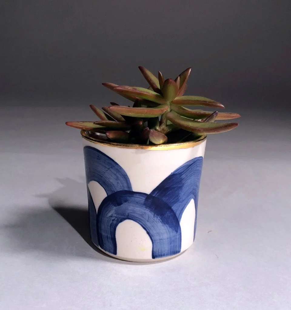 A potted succulent plant in a white ceramic pot with blue abstract painted designs and a gold rim.